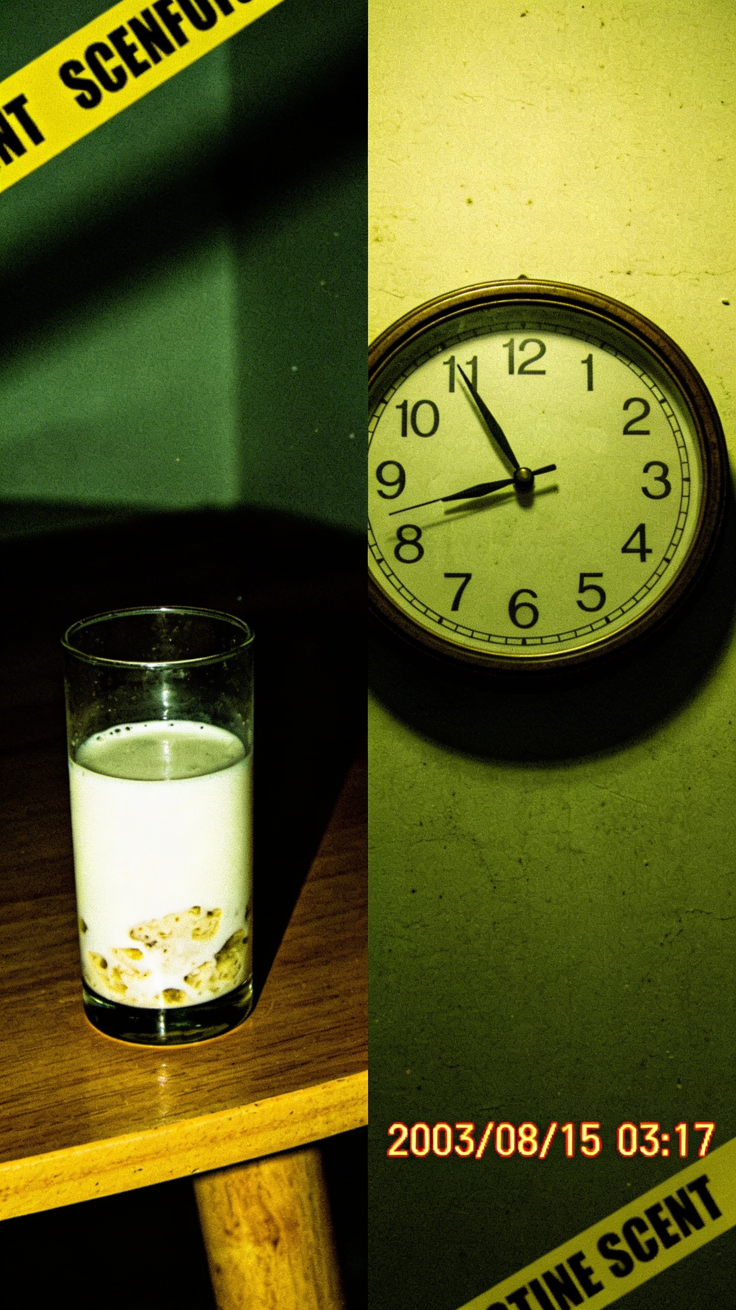 Image - 2026-02-12 16:14