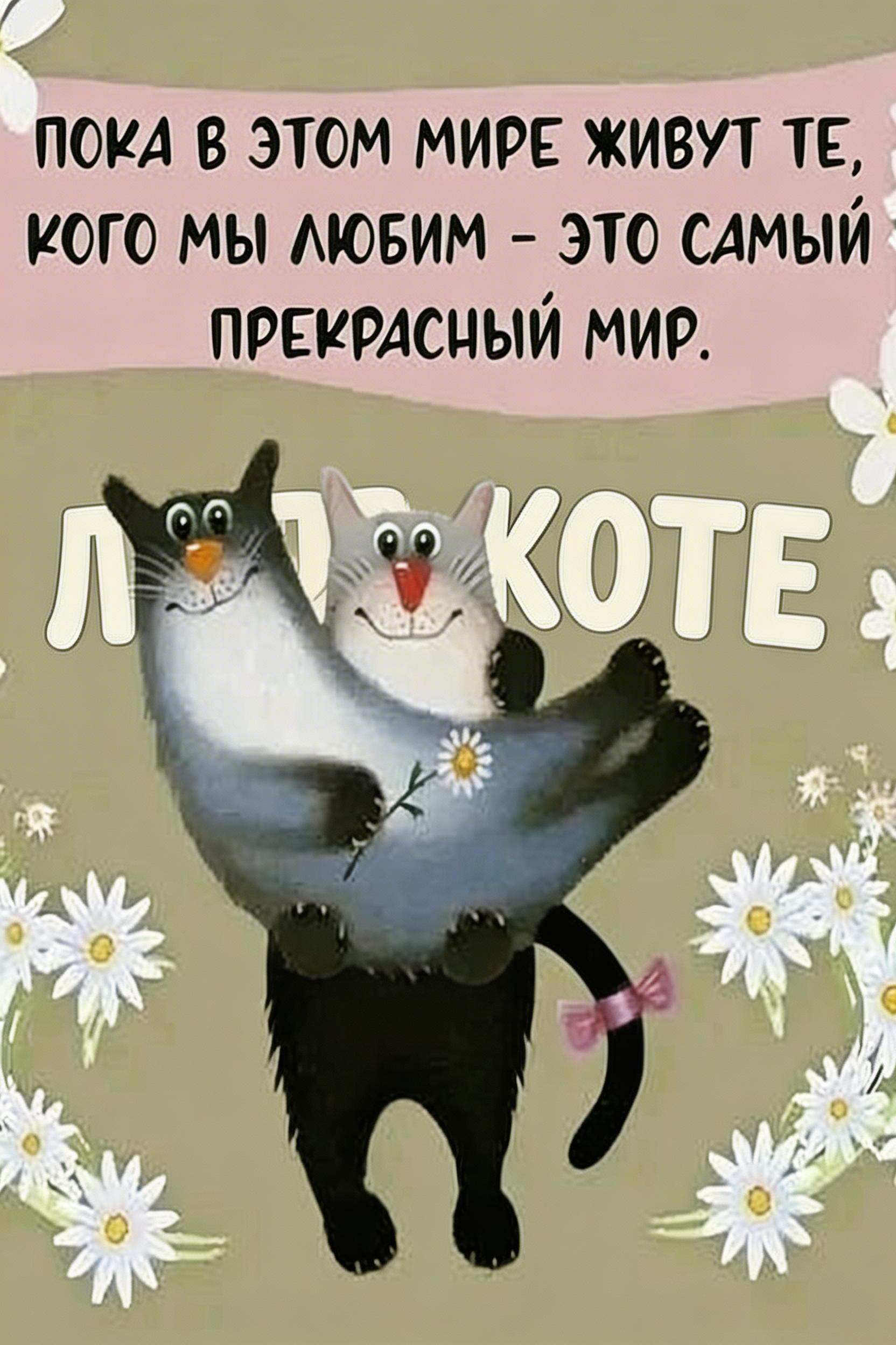 Image - 2026-03-11 13:33