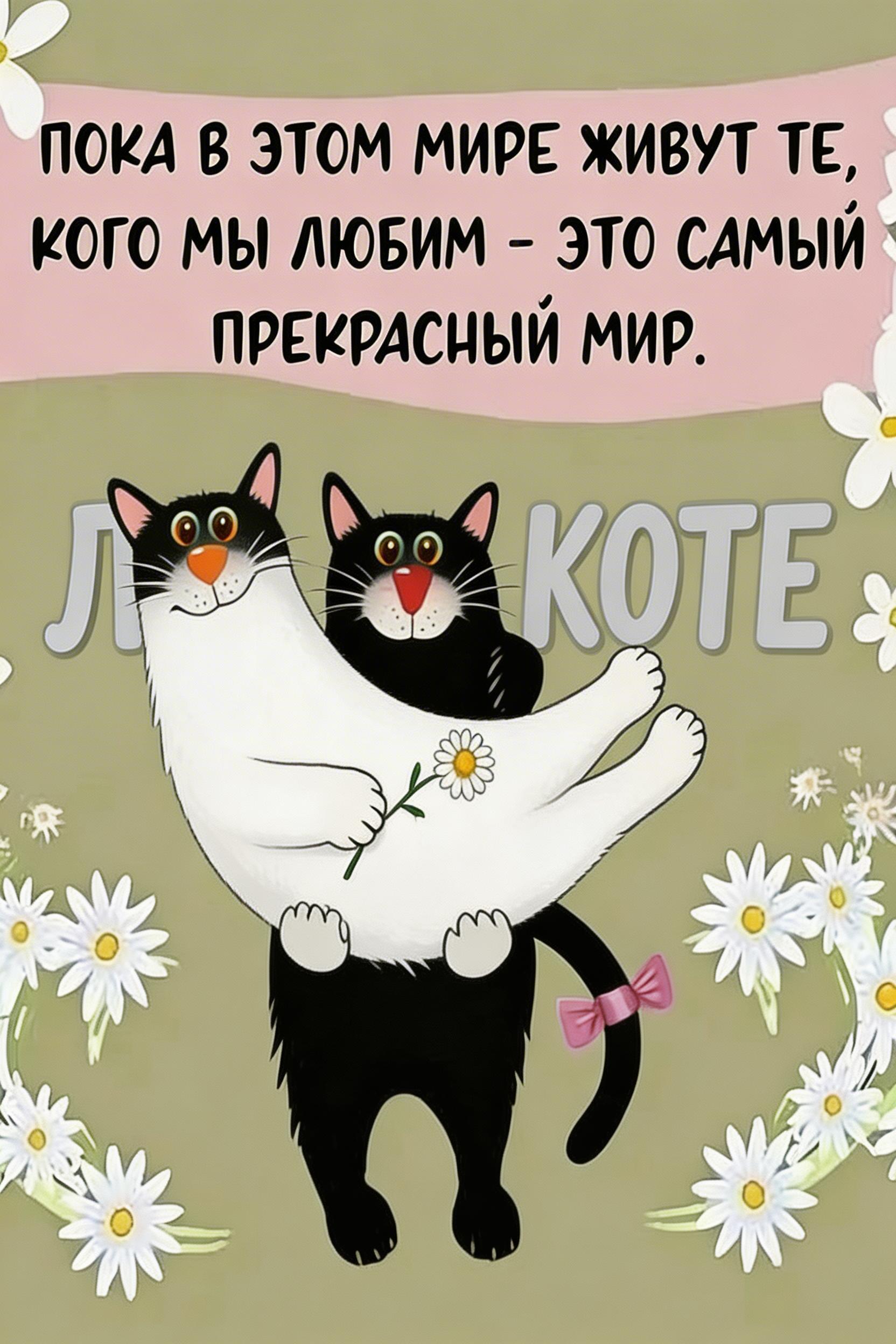 Image - 2026-03-11 13:33