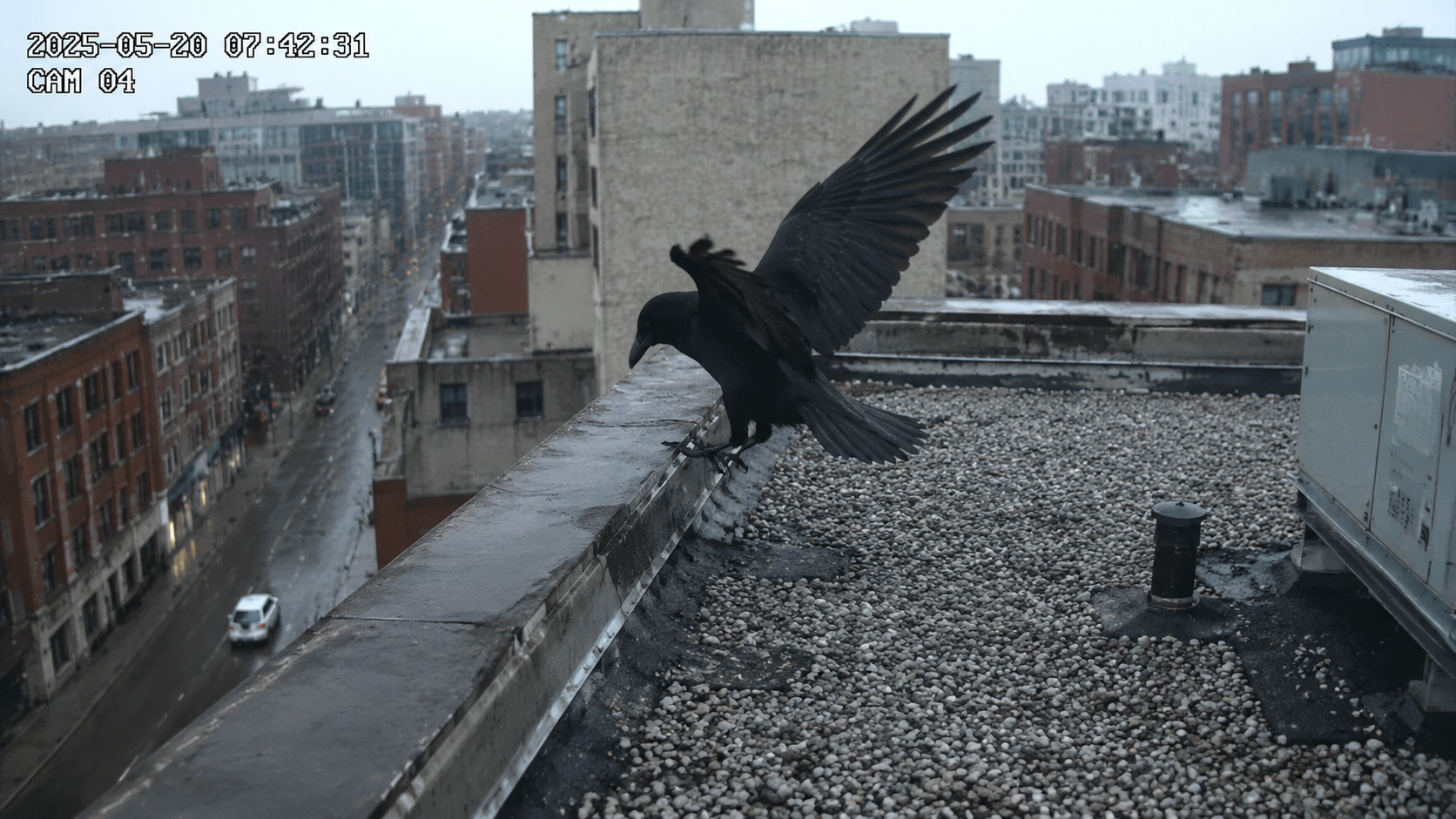 Image - 2026-06-28 15:28
