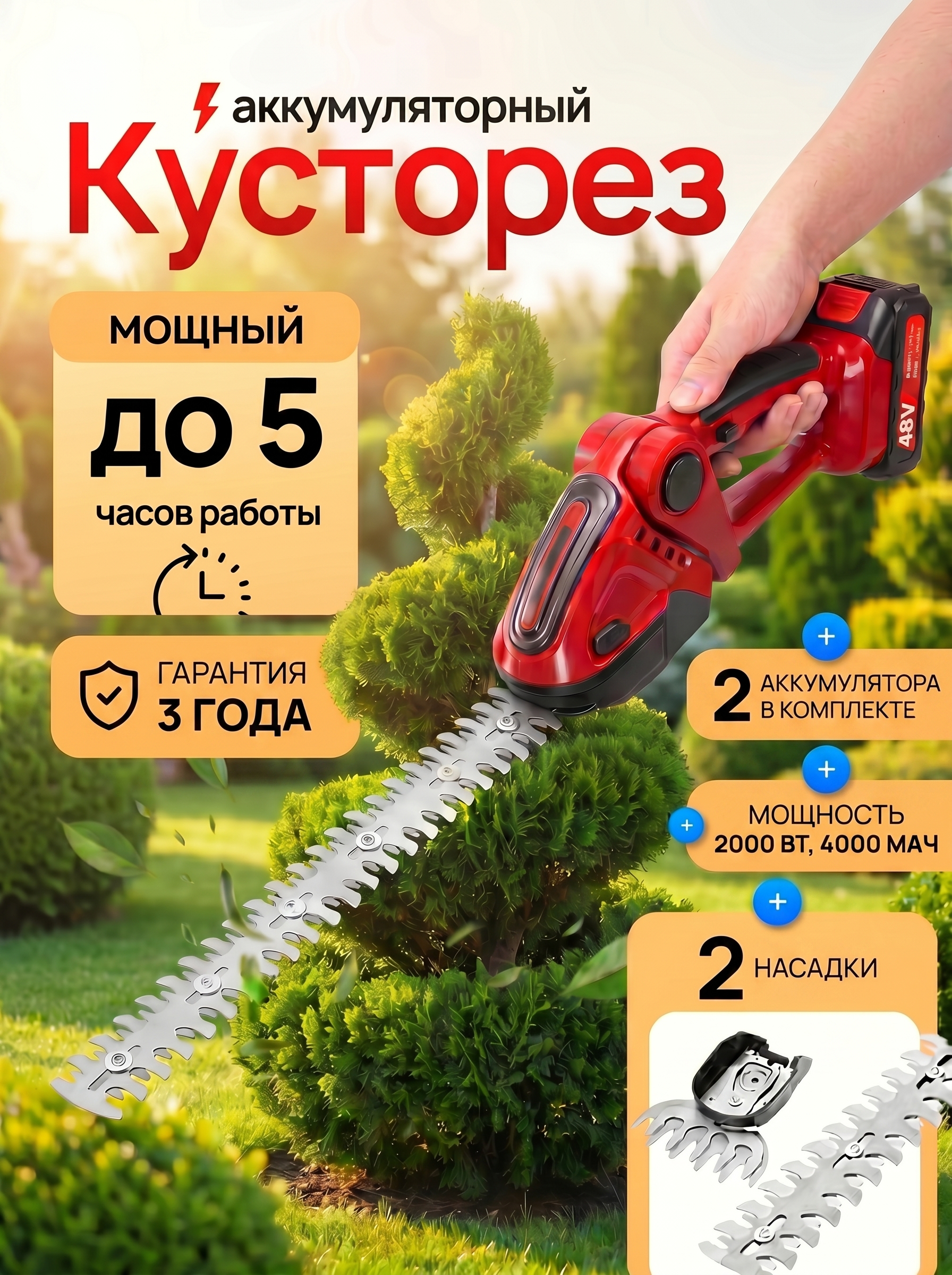 Image - 2026-05-18 21:49
