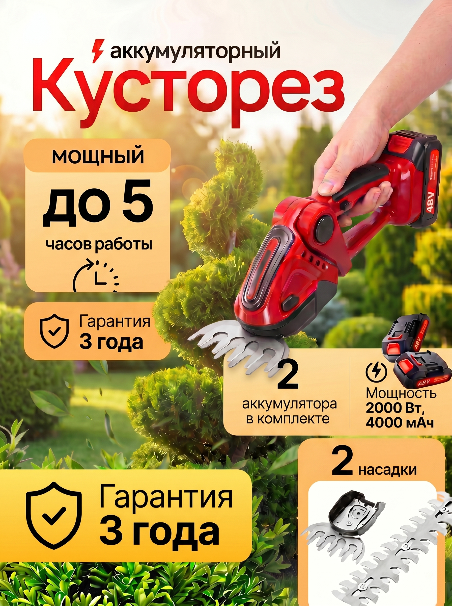 Image - 2026-05-20 14:02