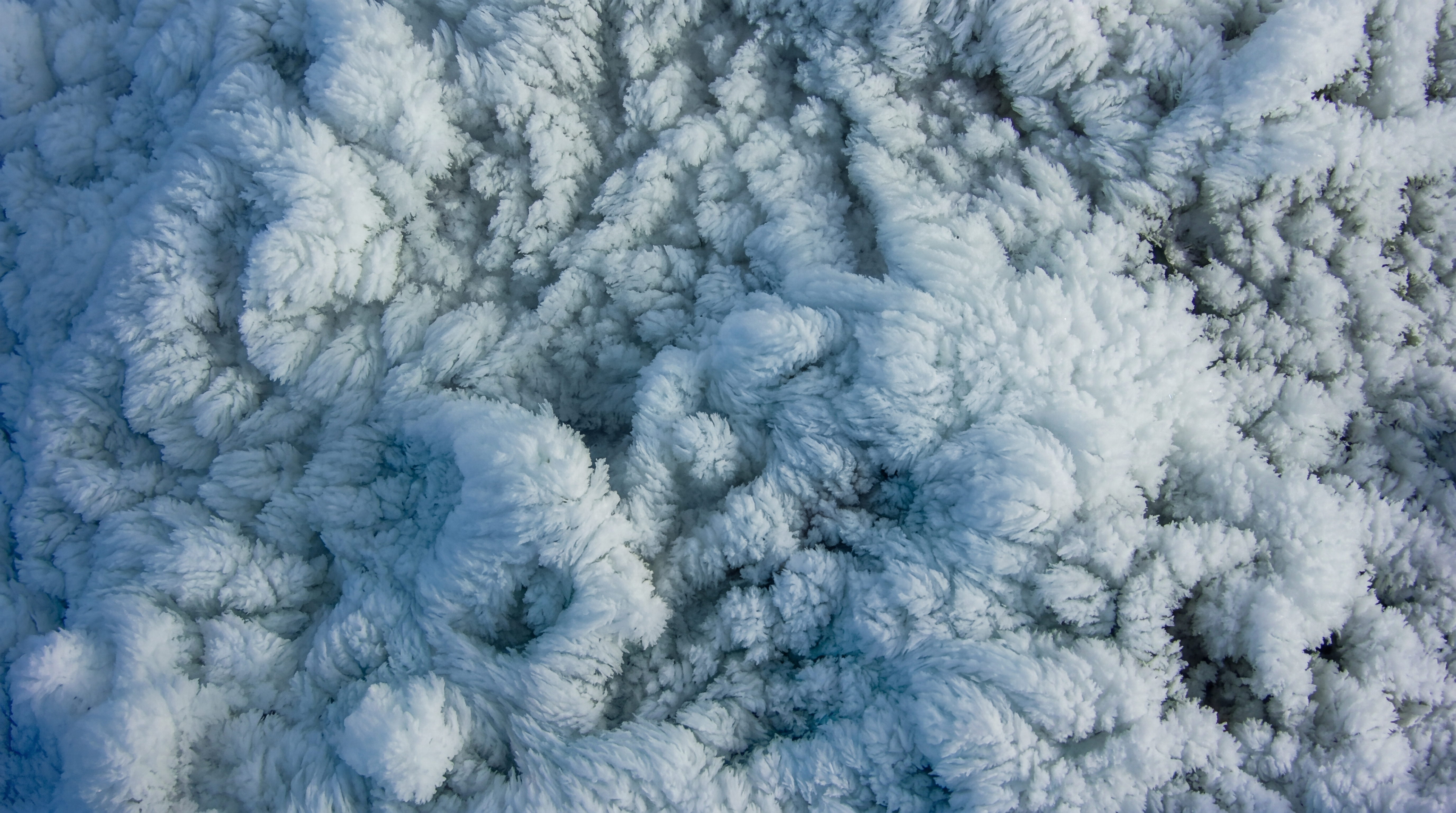 Image - 2026-04-22 12:37