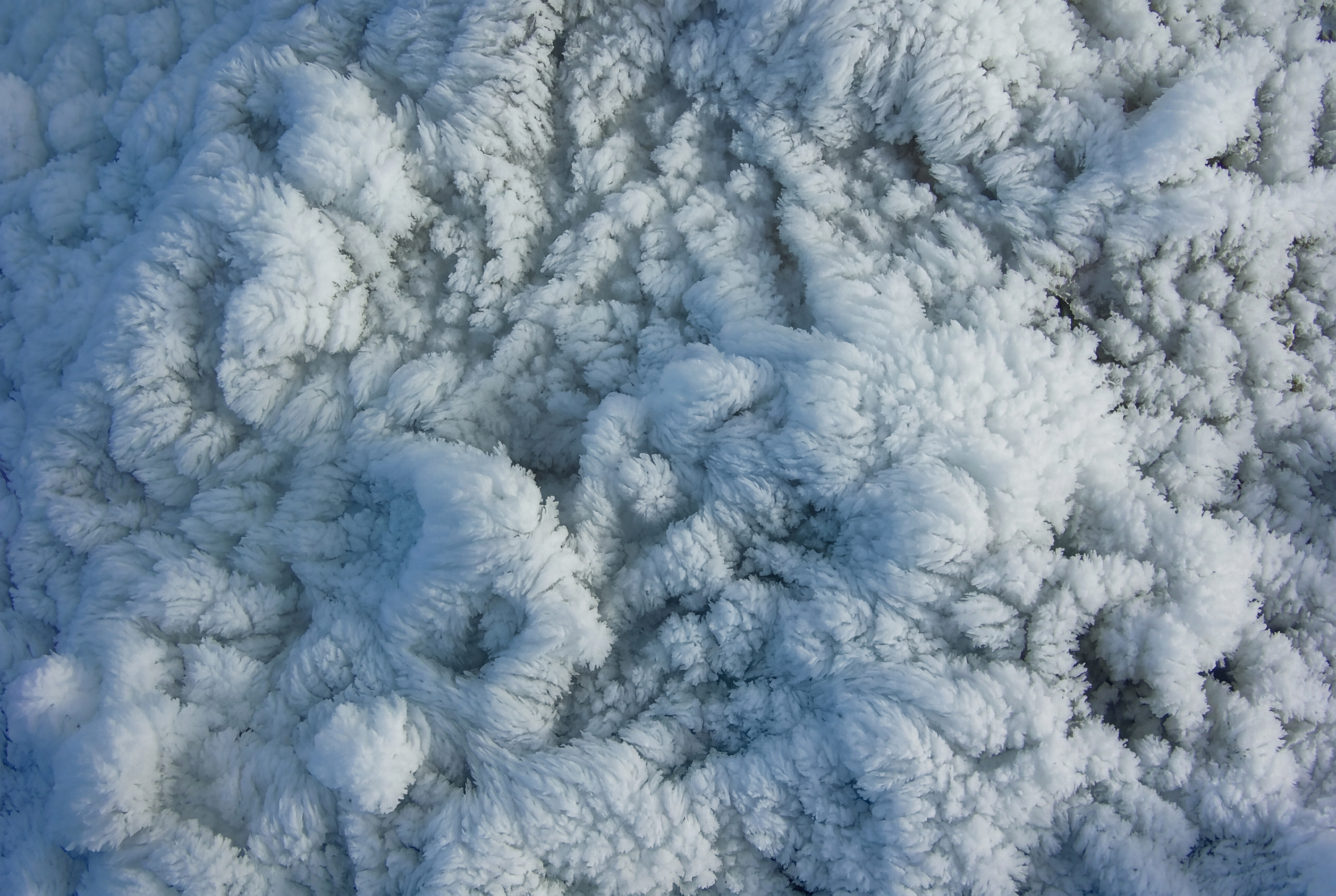 Image - 2026-04-22 12:53