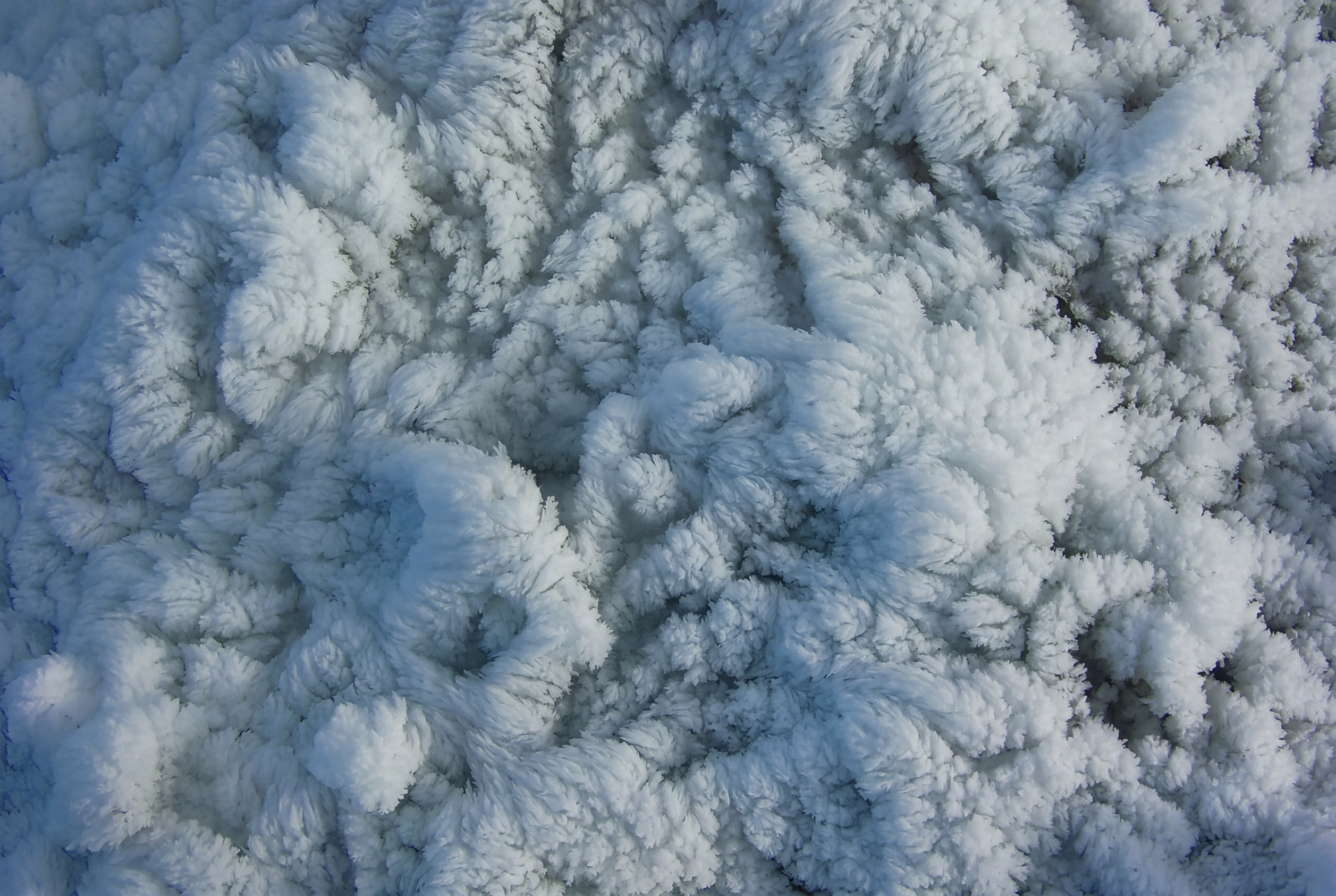 Image - 2026-04-22 12:59