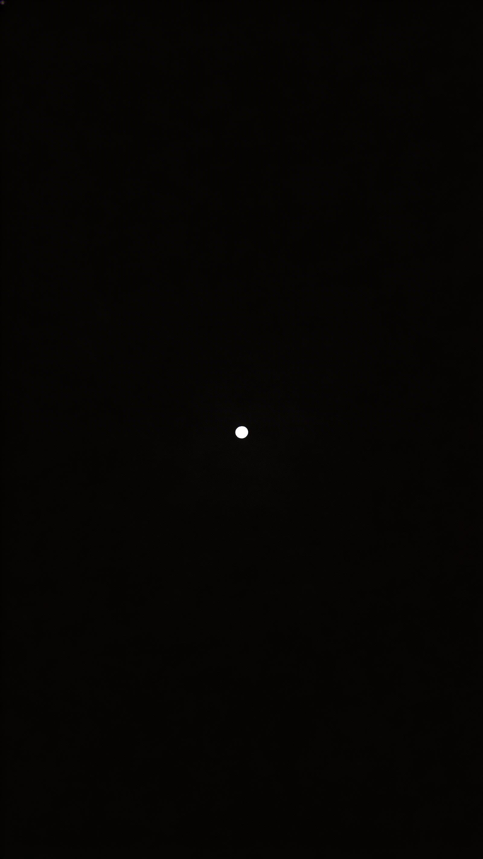 Image - 2026-03-01 21:41