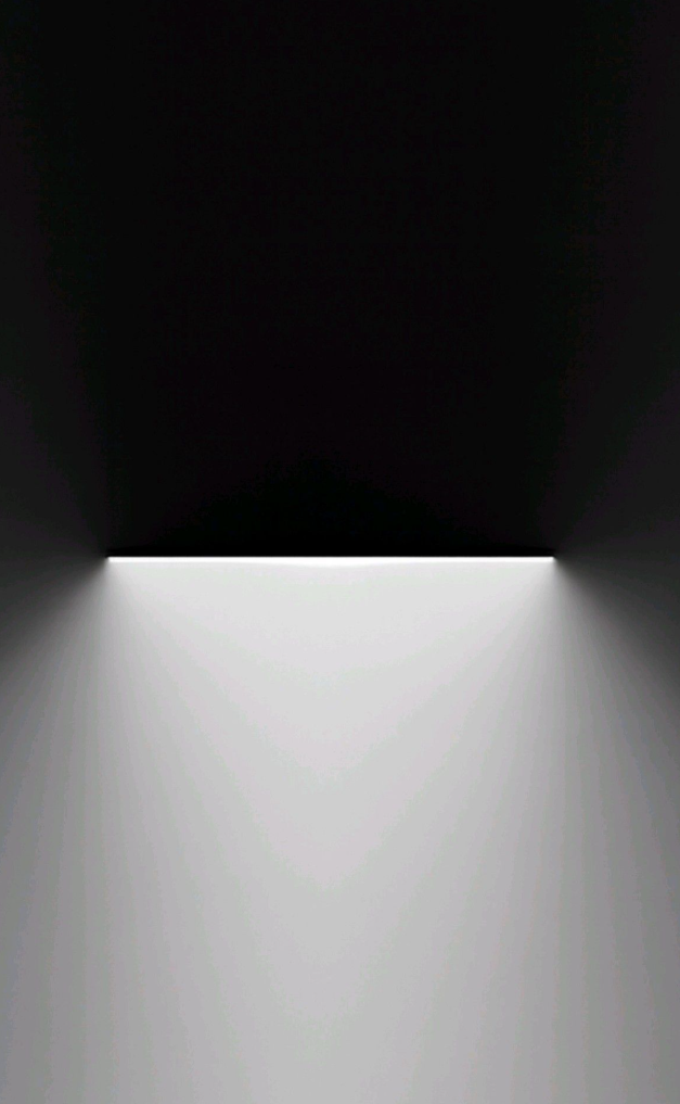 Reference image 1