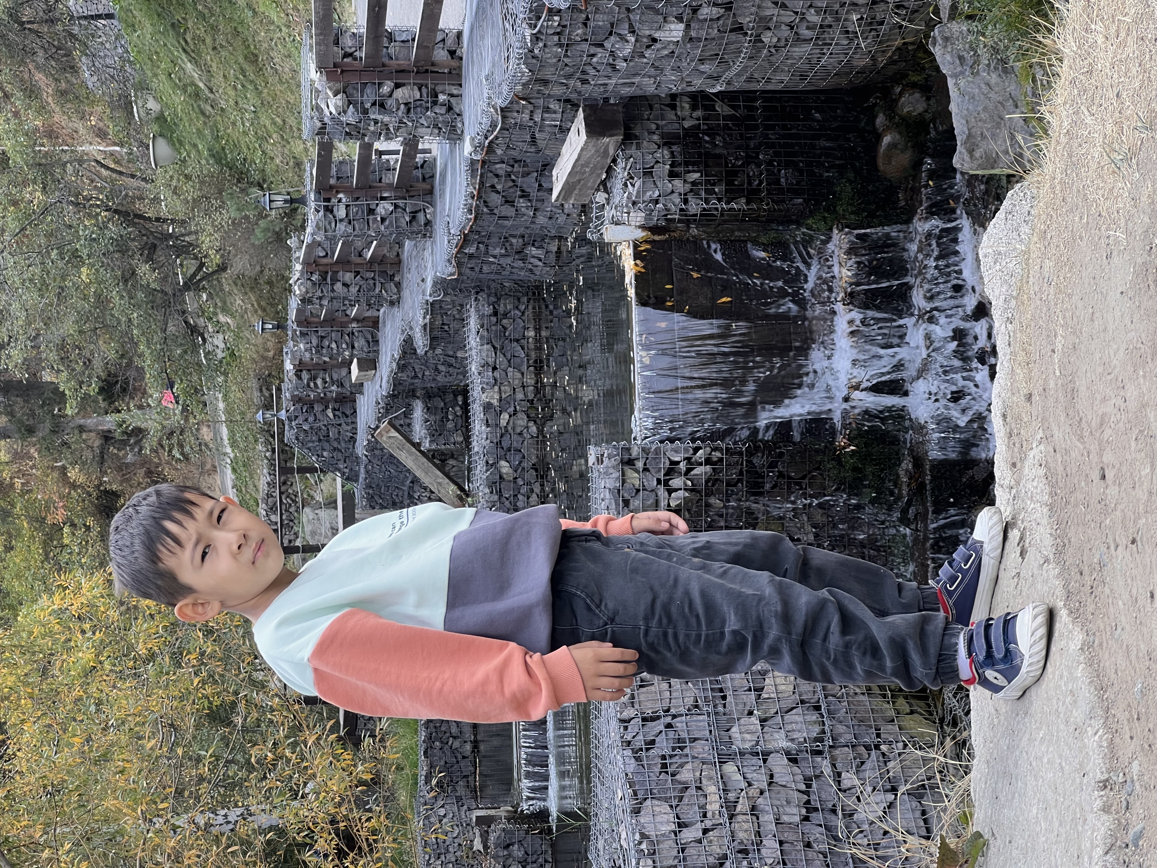 Reference image 1