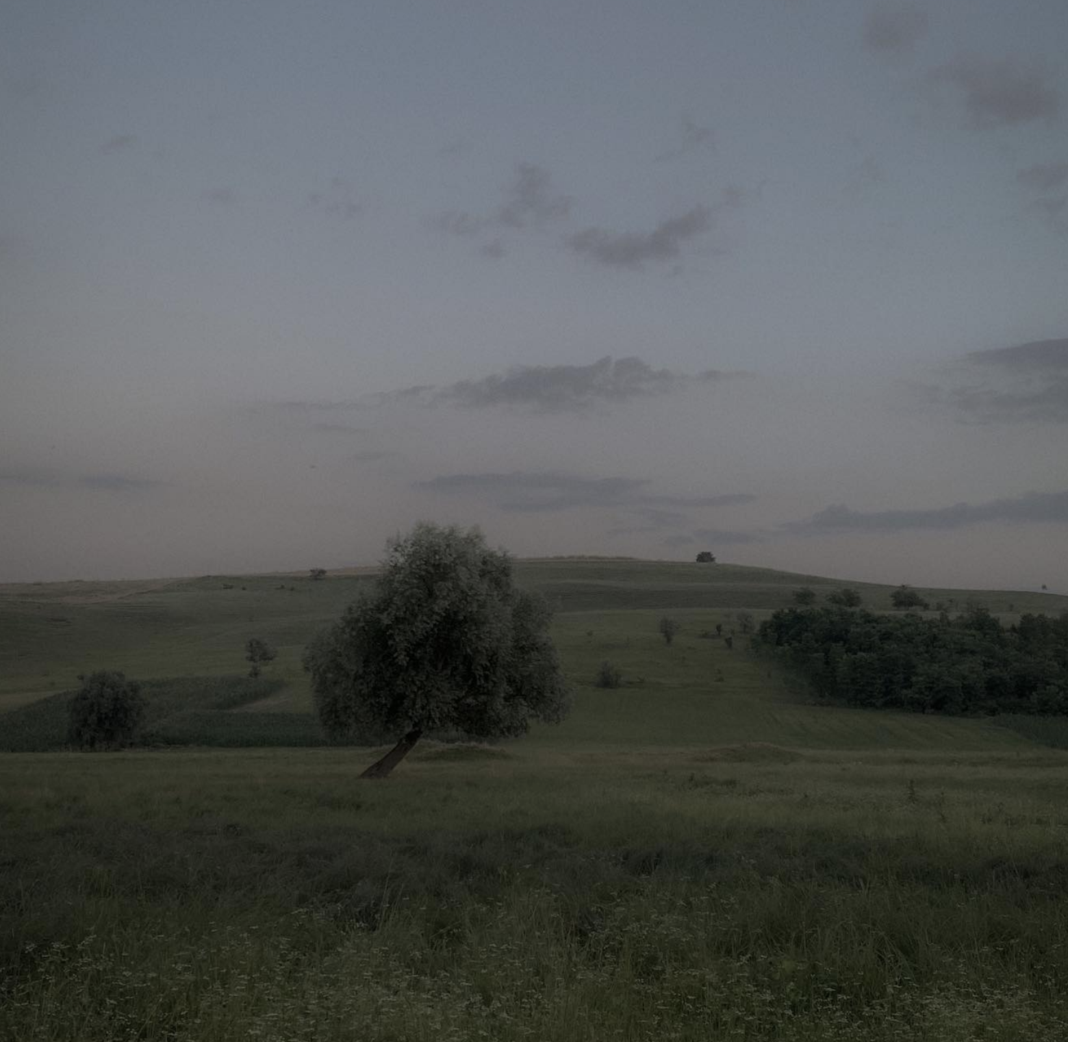 Reference image 1