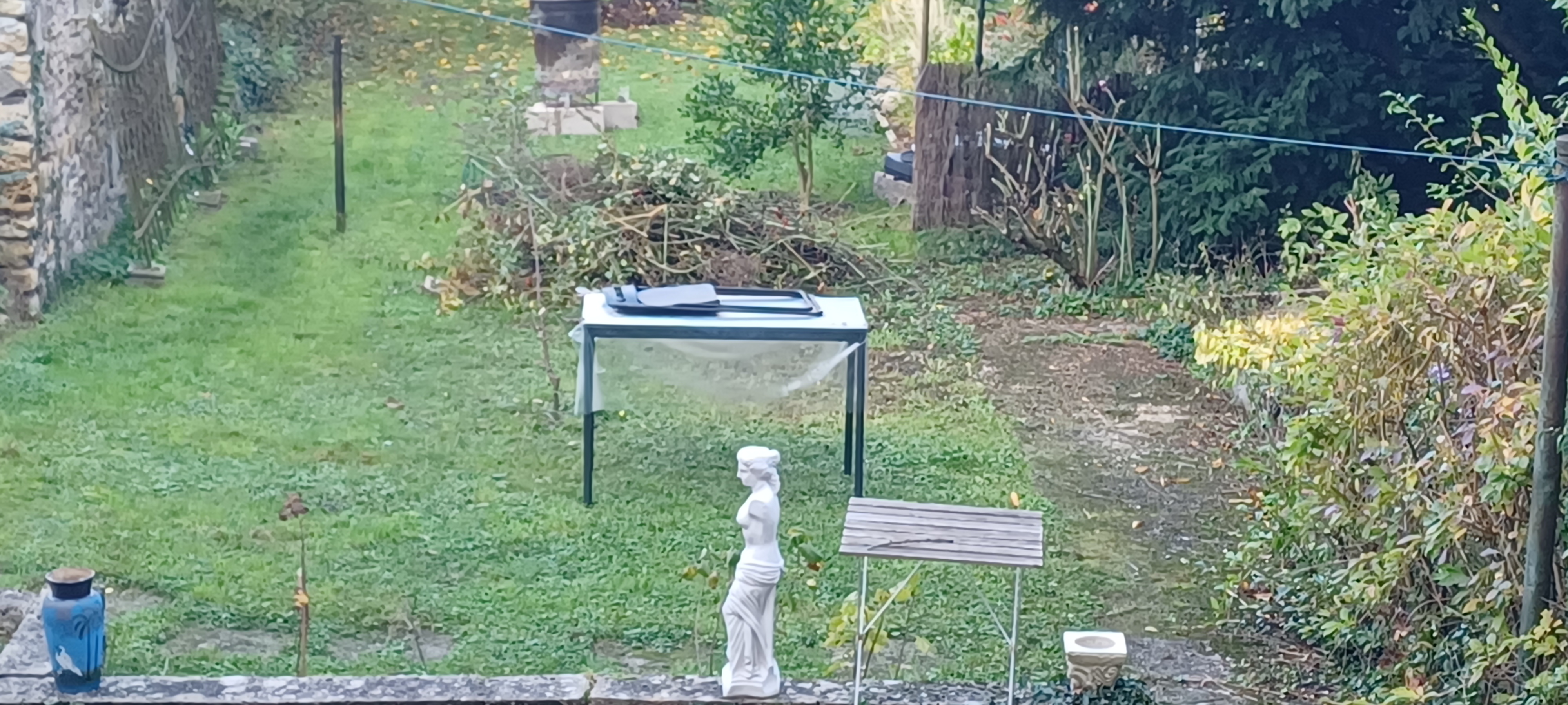 Reference image 1