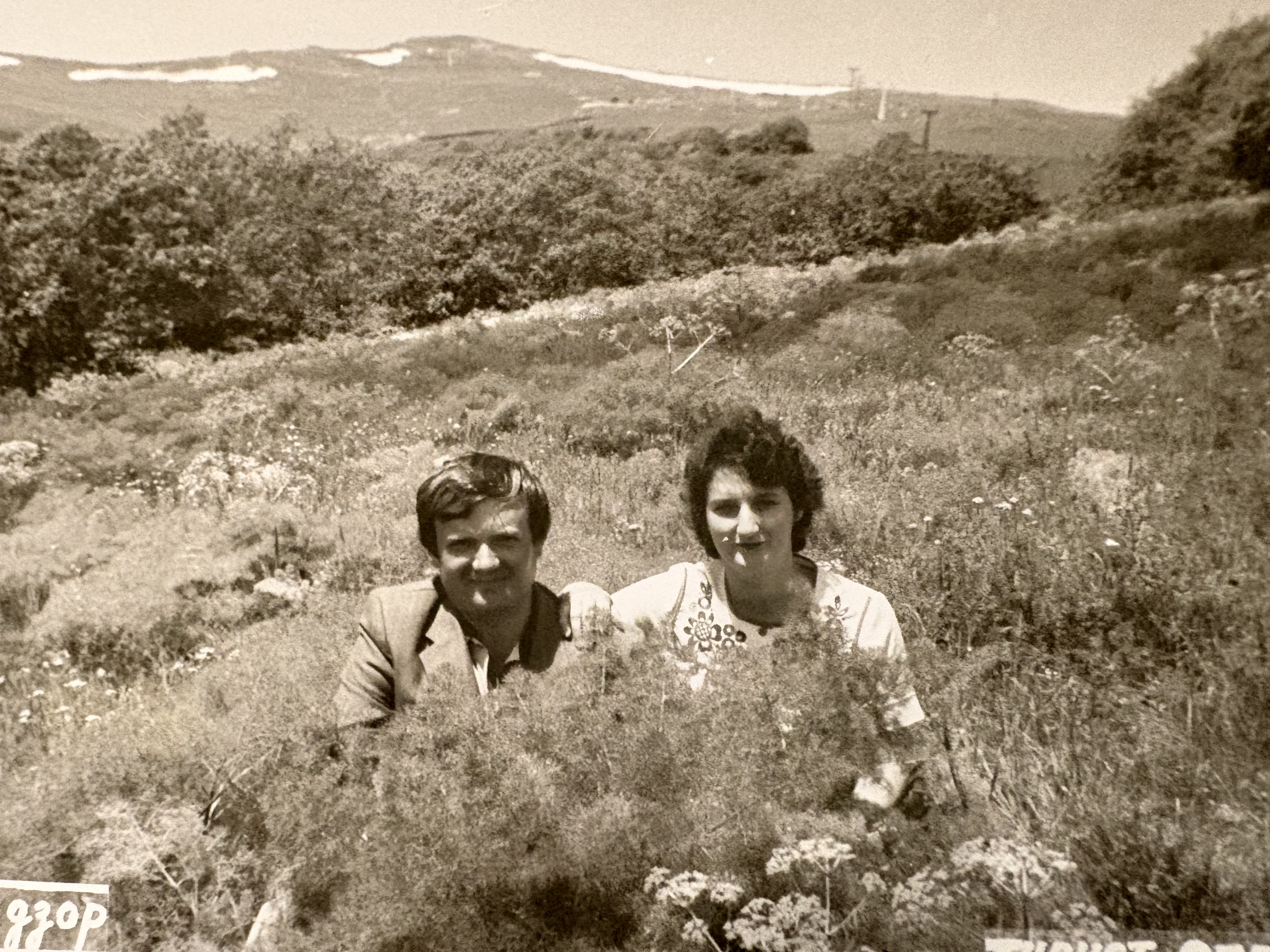 Reference image 1