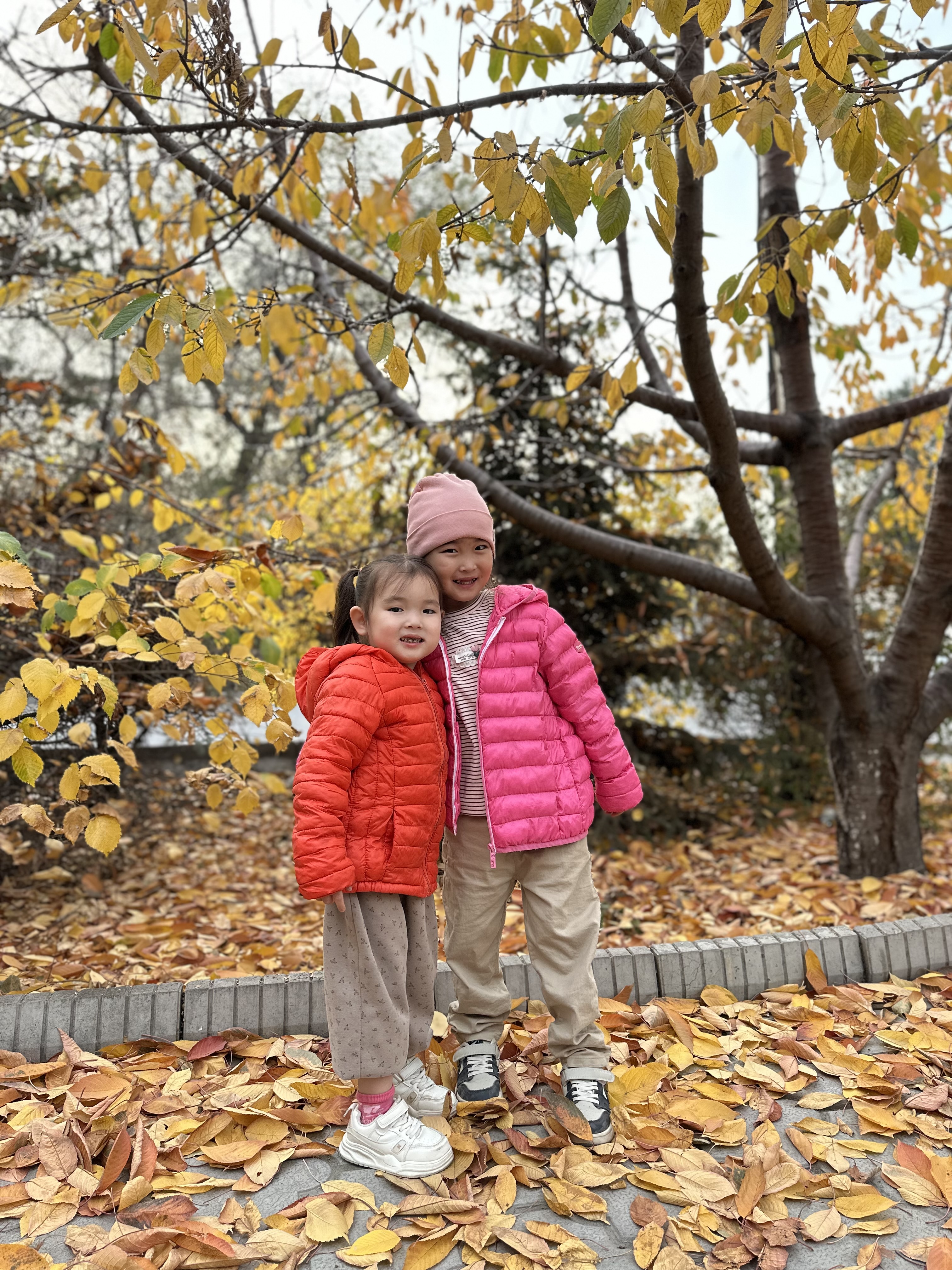 IMG_6913.jpeg