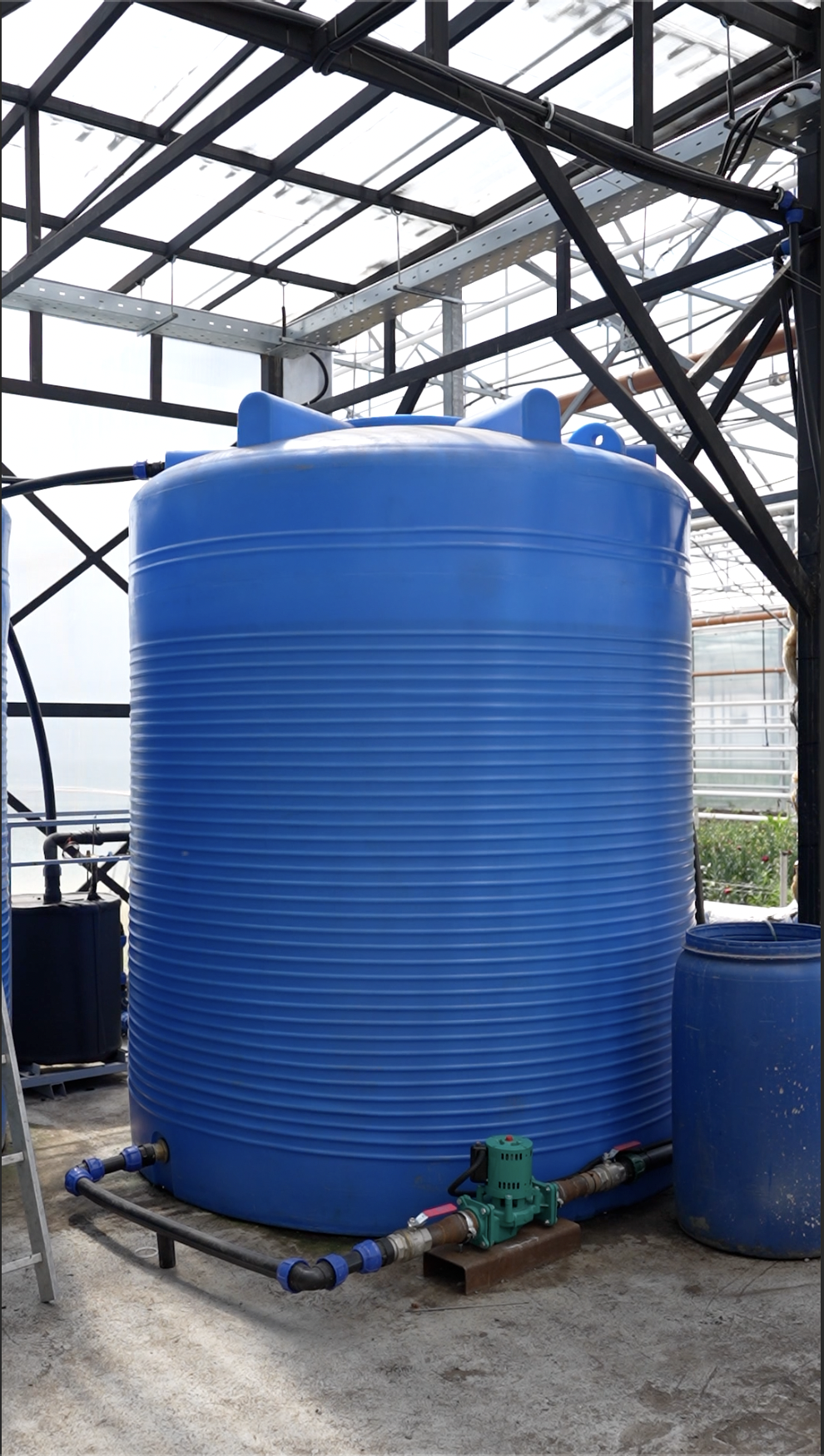 Reference image 1