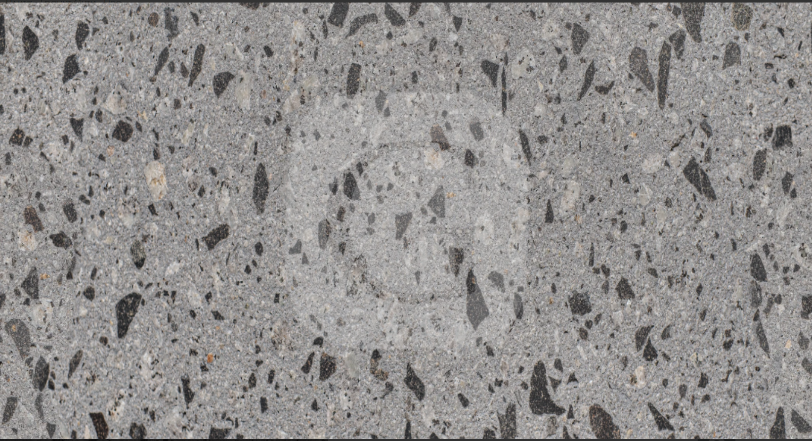 Reference image 1