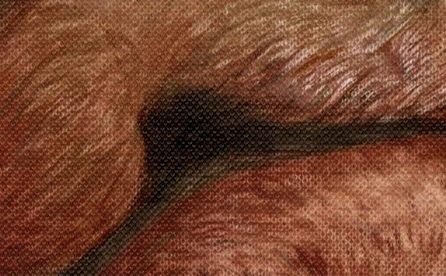 Reference image 1