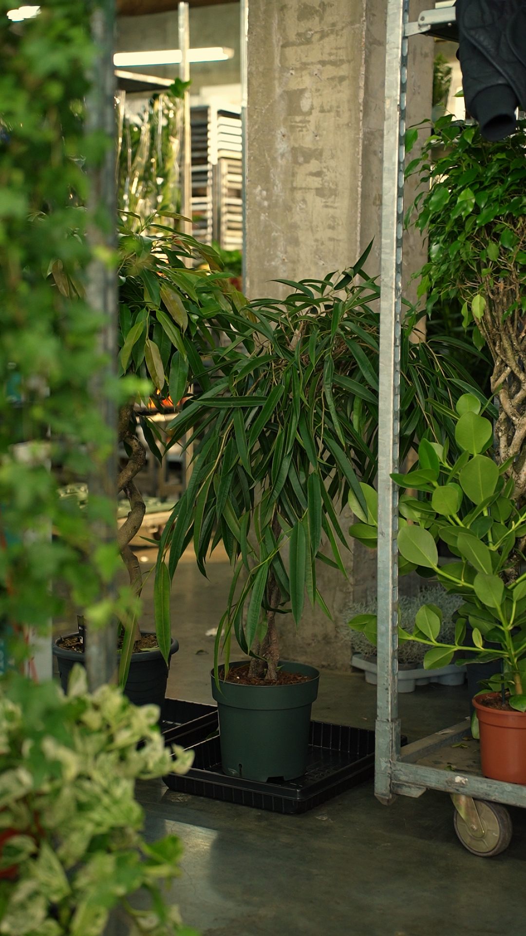 Reference image 1