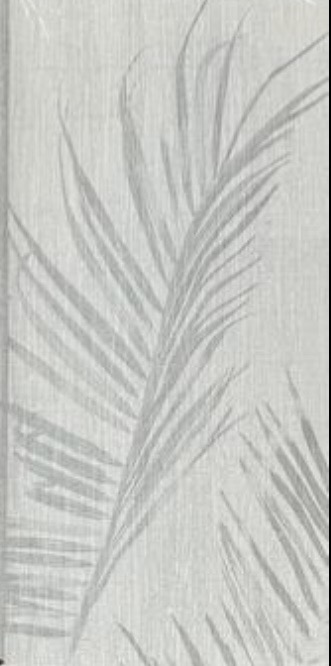 Reference image 2