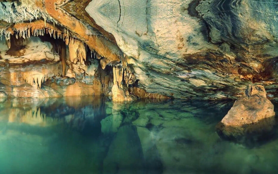 Reference image 1