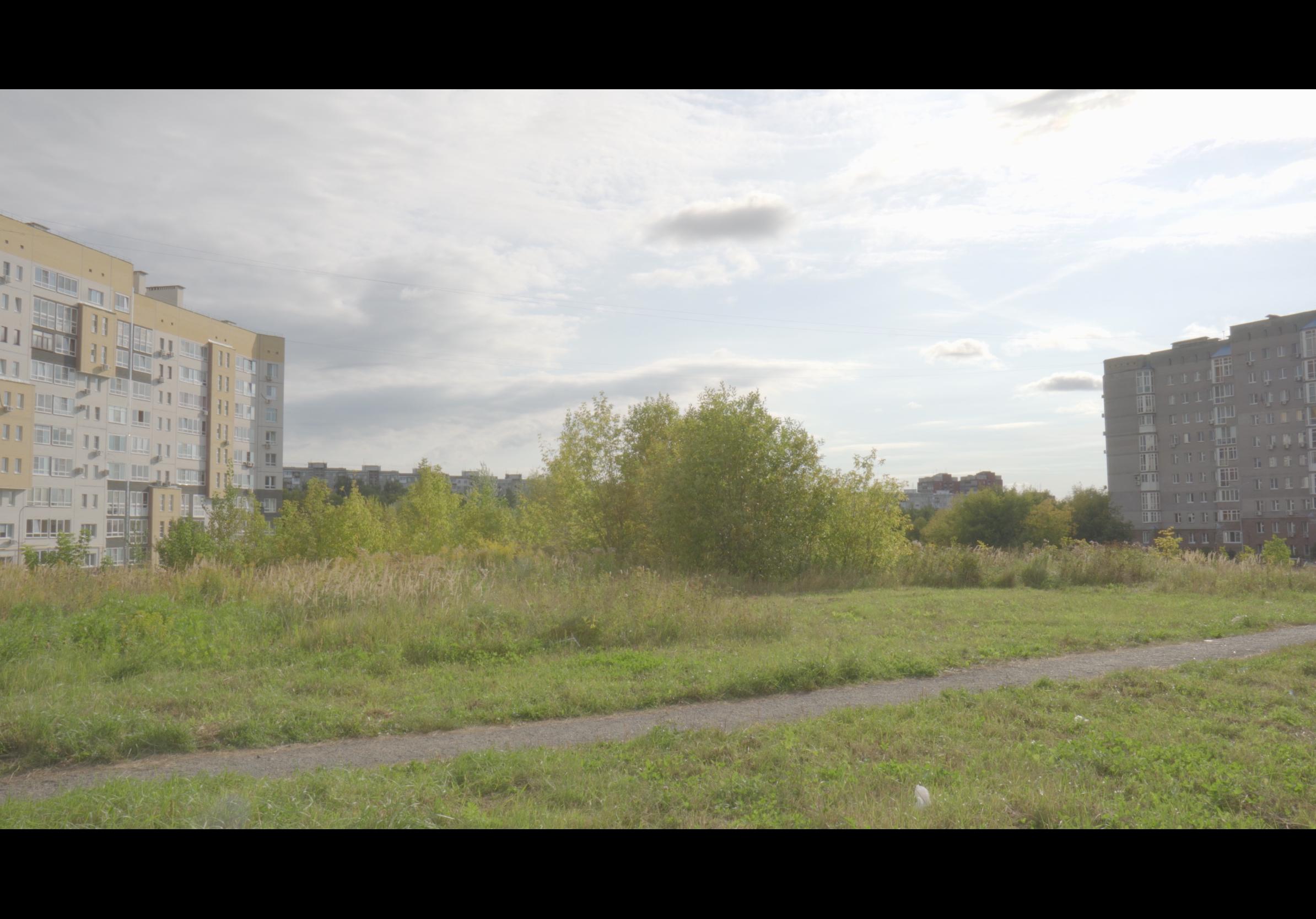 Reference image 1