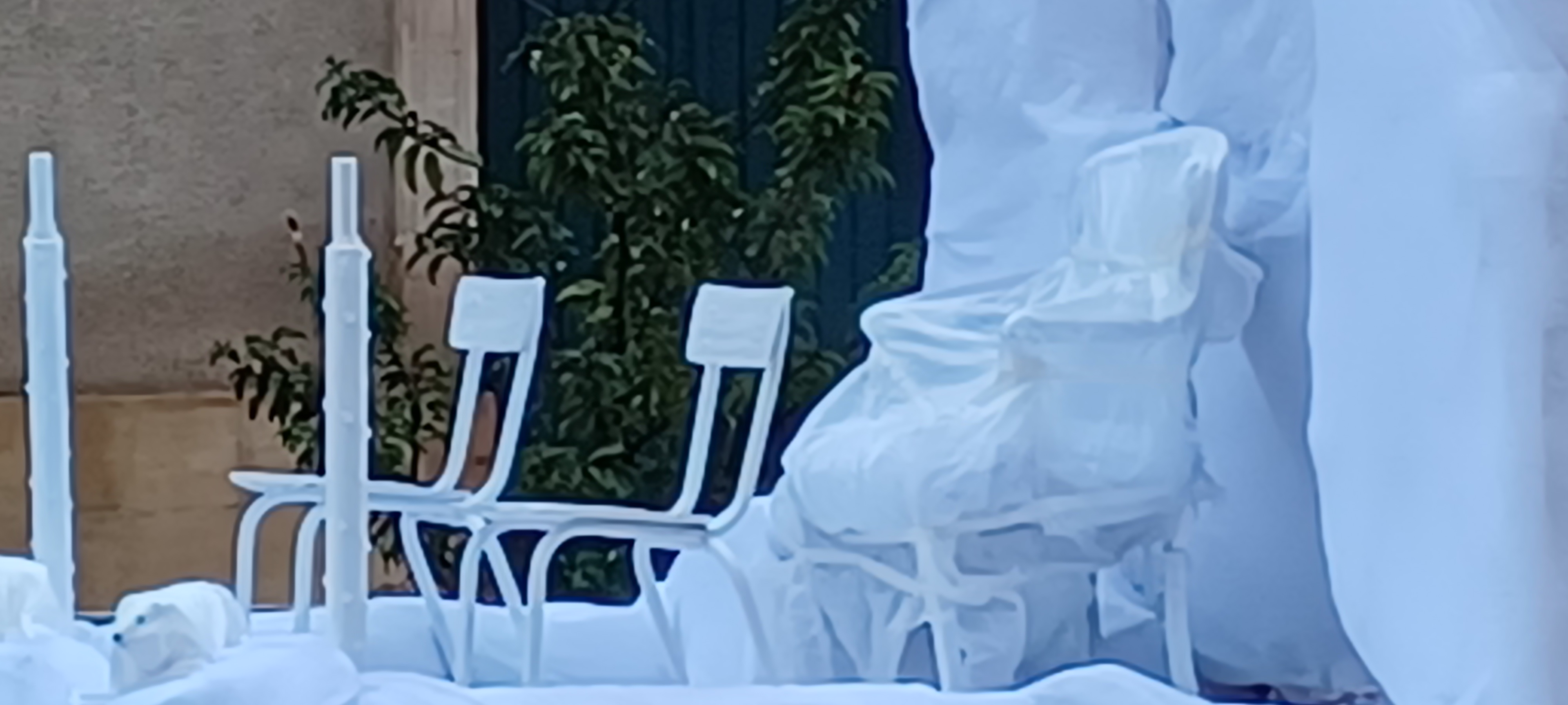 Reference image 1