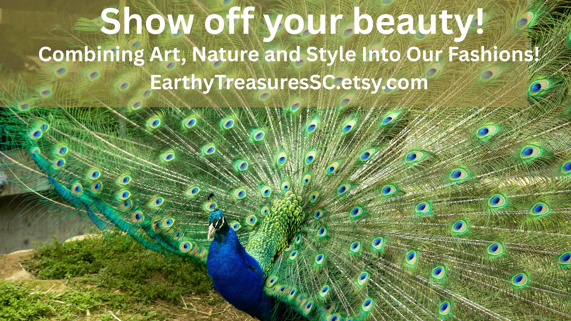 Make peacock feathers gently blow