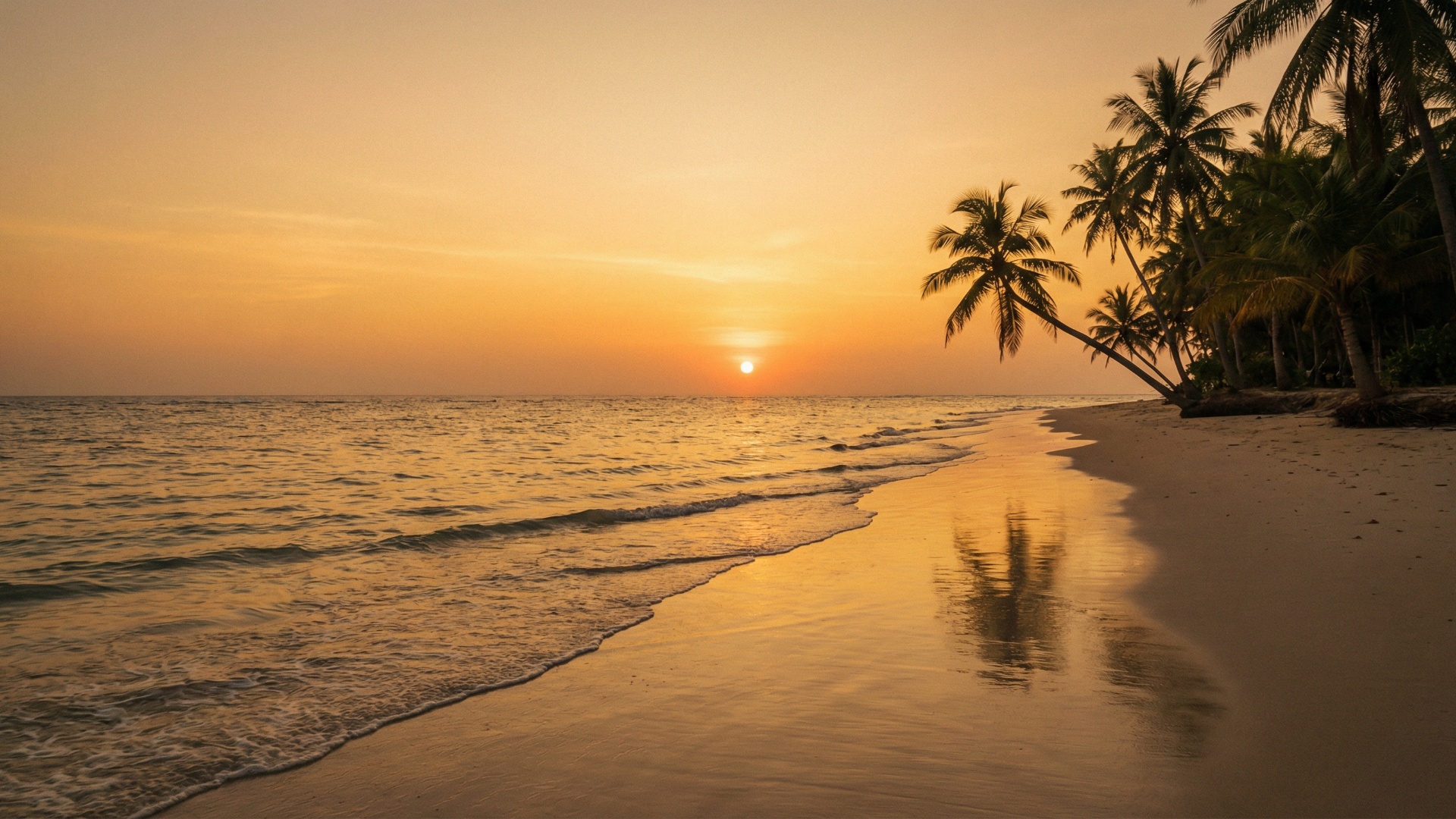 Subject: Tropical beach at sunset
Context: Dreamlike evening setting with an empty pristine shore...