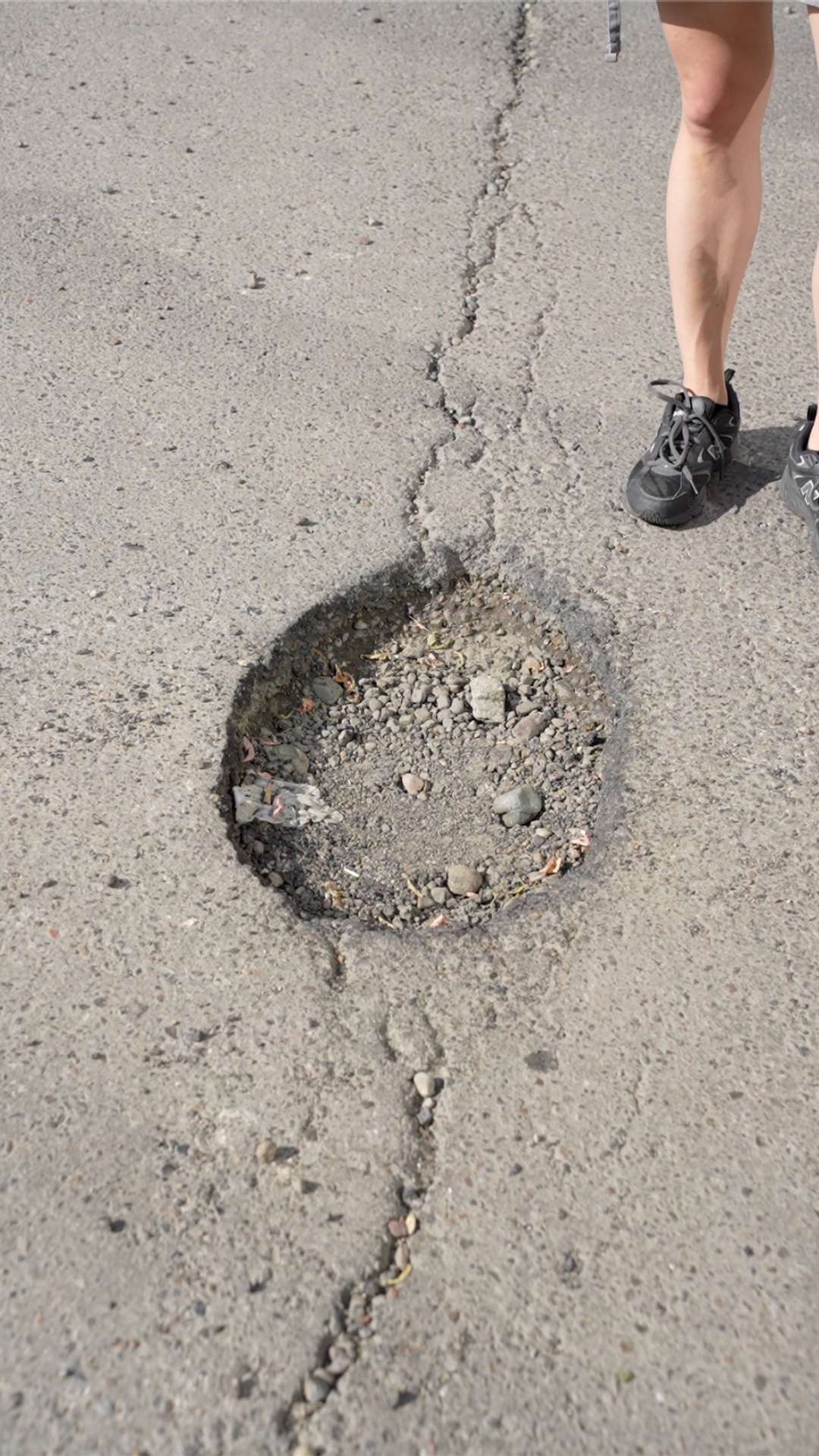 Ultra realistic scene. A pothole in an old asphalt road. Small colorful garden flowers begin to s...