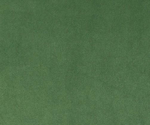 Reference image 1