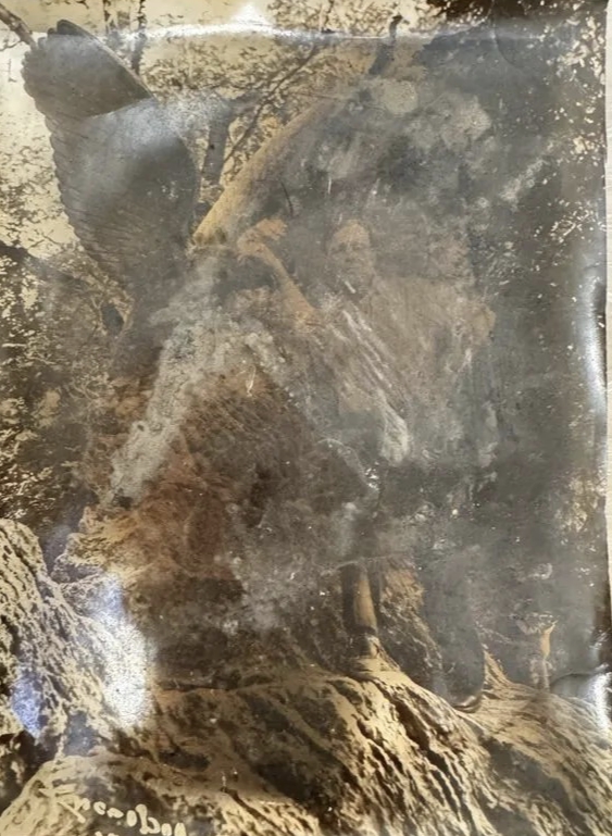 Reference image 1
