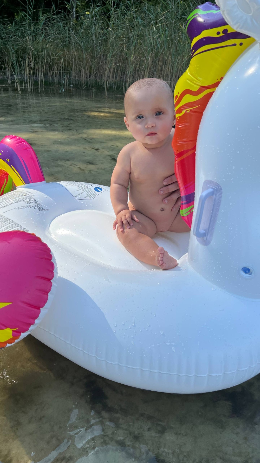 A cheerful chubby baby with light peach fuzz hair and big curious blue eyes sits upright on a lar...