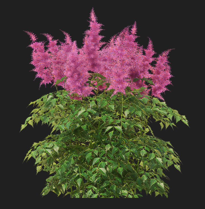 Reference image 1