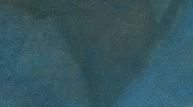 Reference image 1