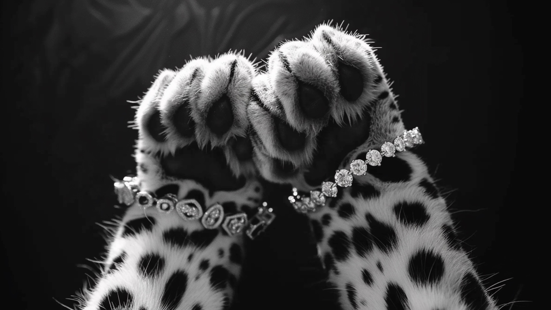 leopard paw slowly opens, claws extend, smooth cinematic motion