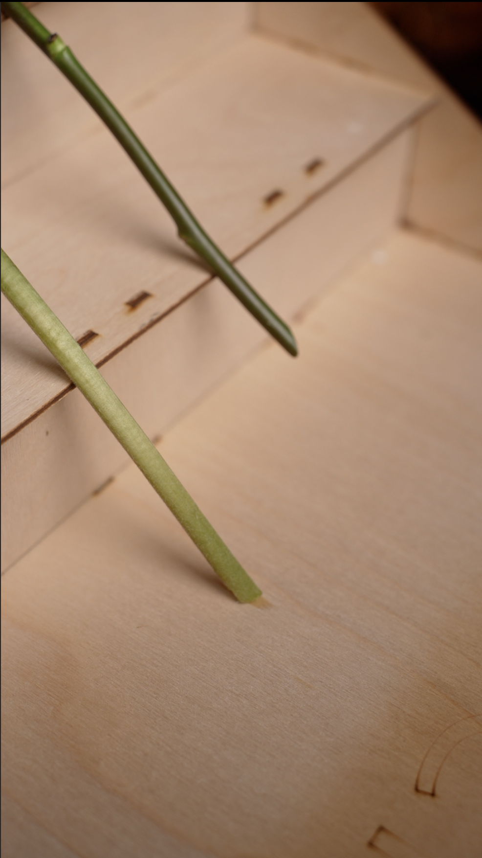 Reference image 1