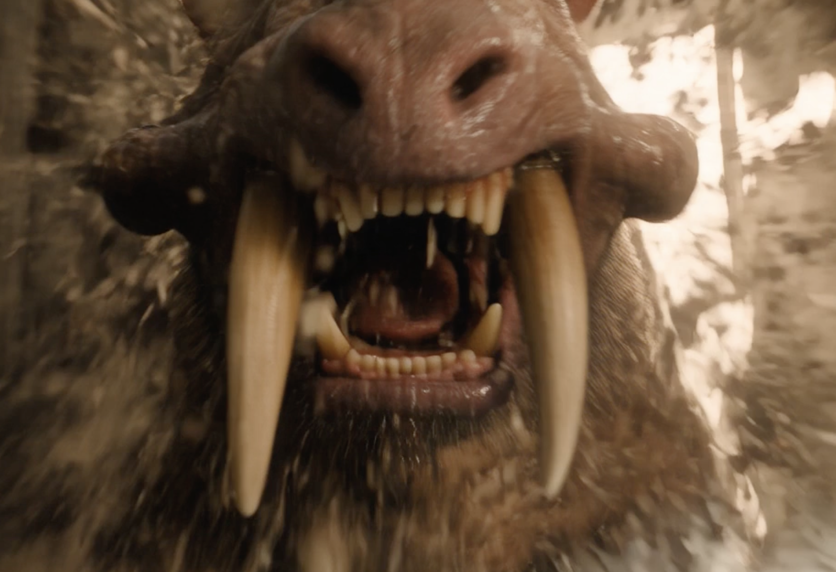 Reference image 1