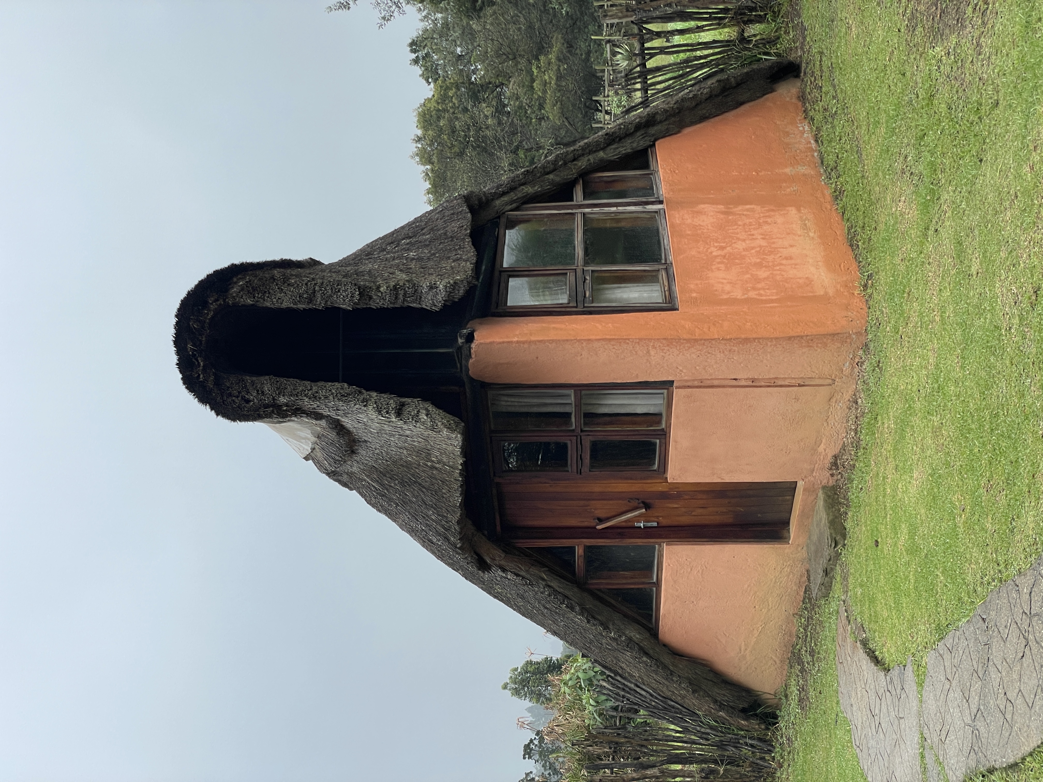 Reference image 1