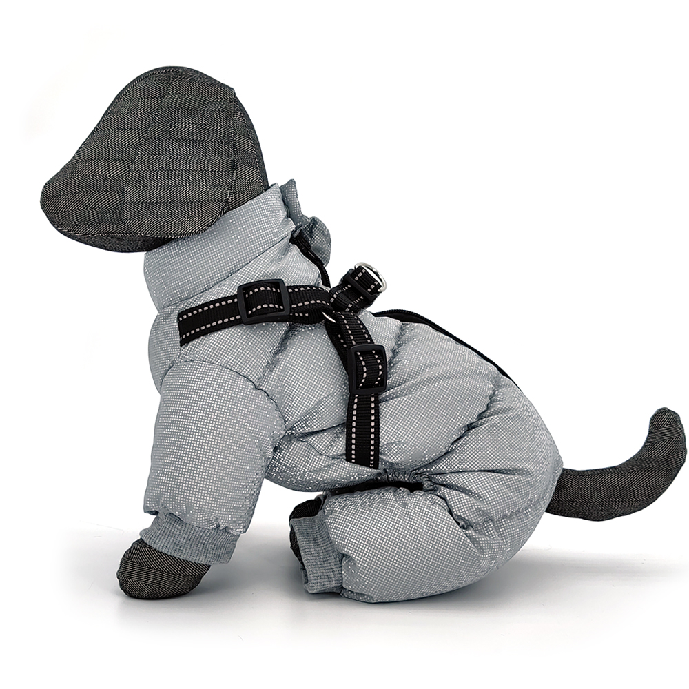 Reference image 4