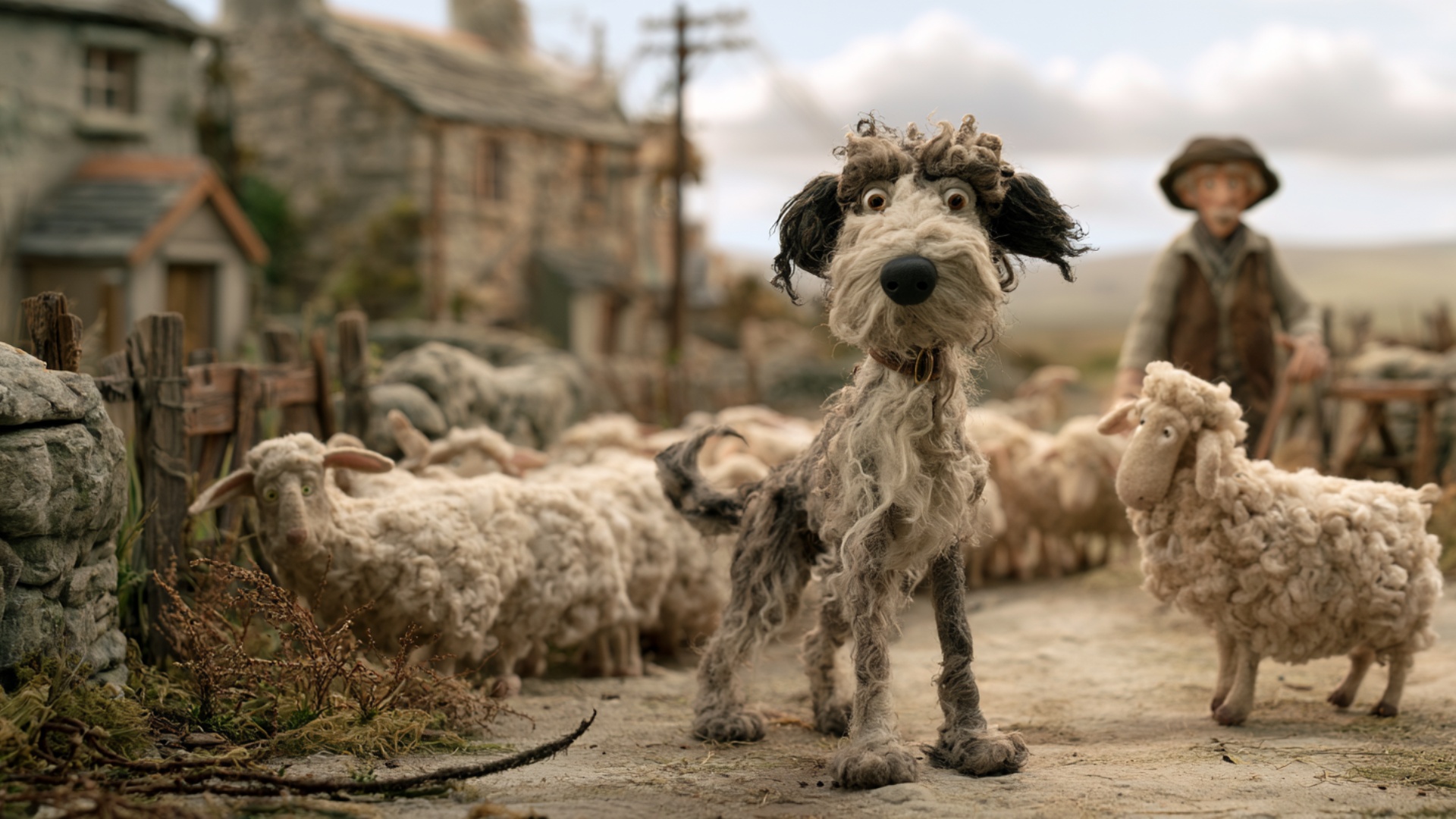 The sheepdog looks toward the flock, turns its head sharply to the side and takes several purpose...