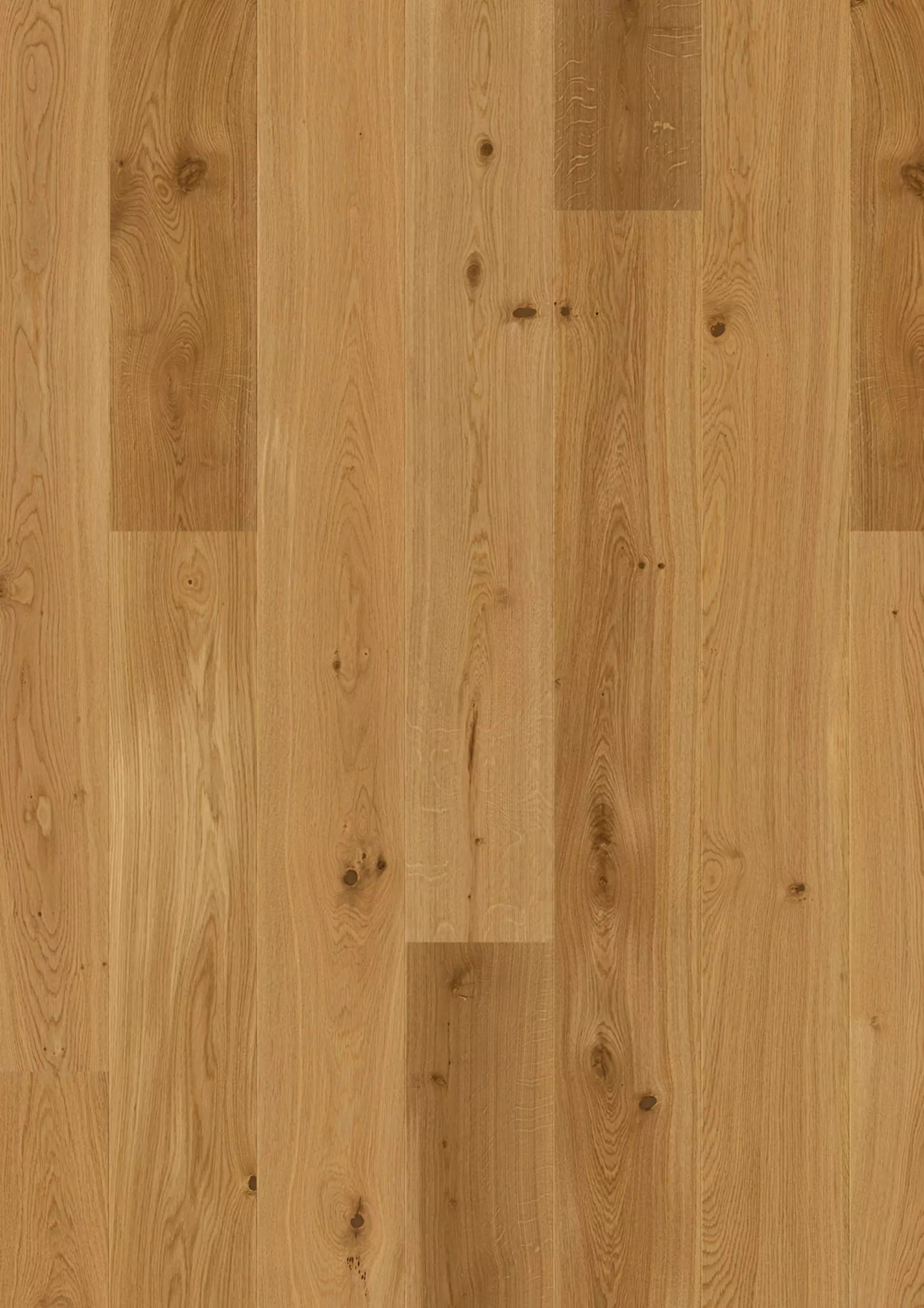 Reference image 1