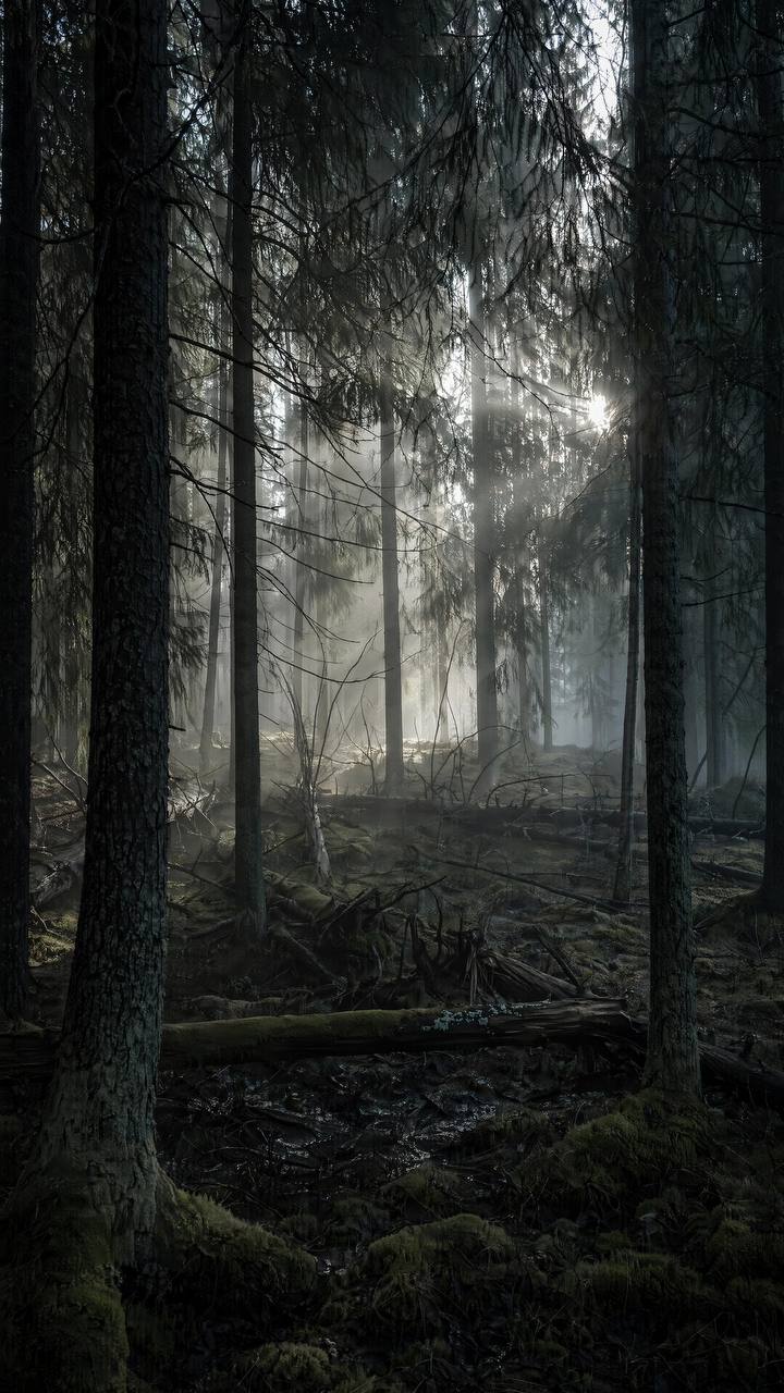 Reference image 1