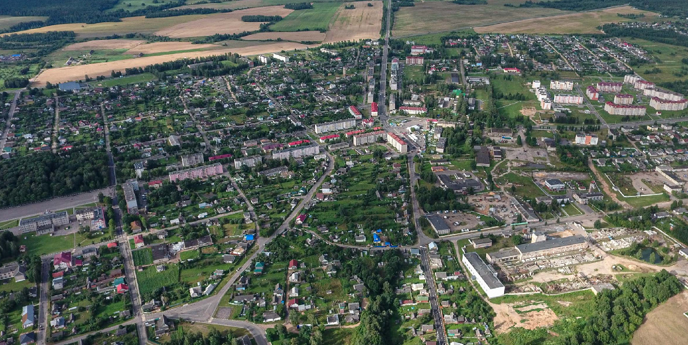Reference image 1