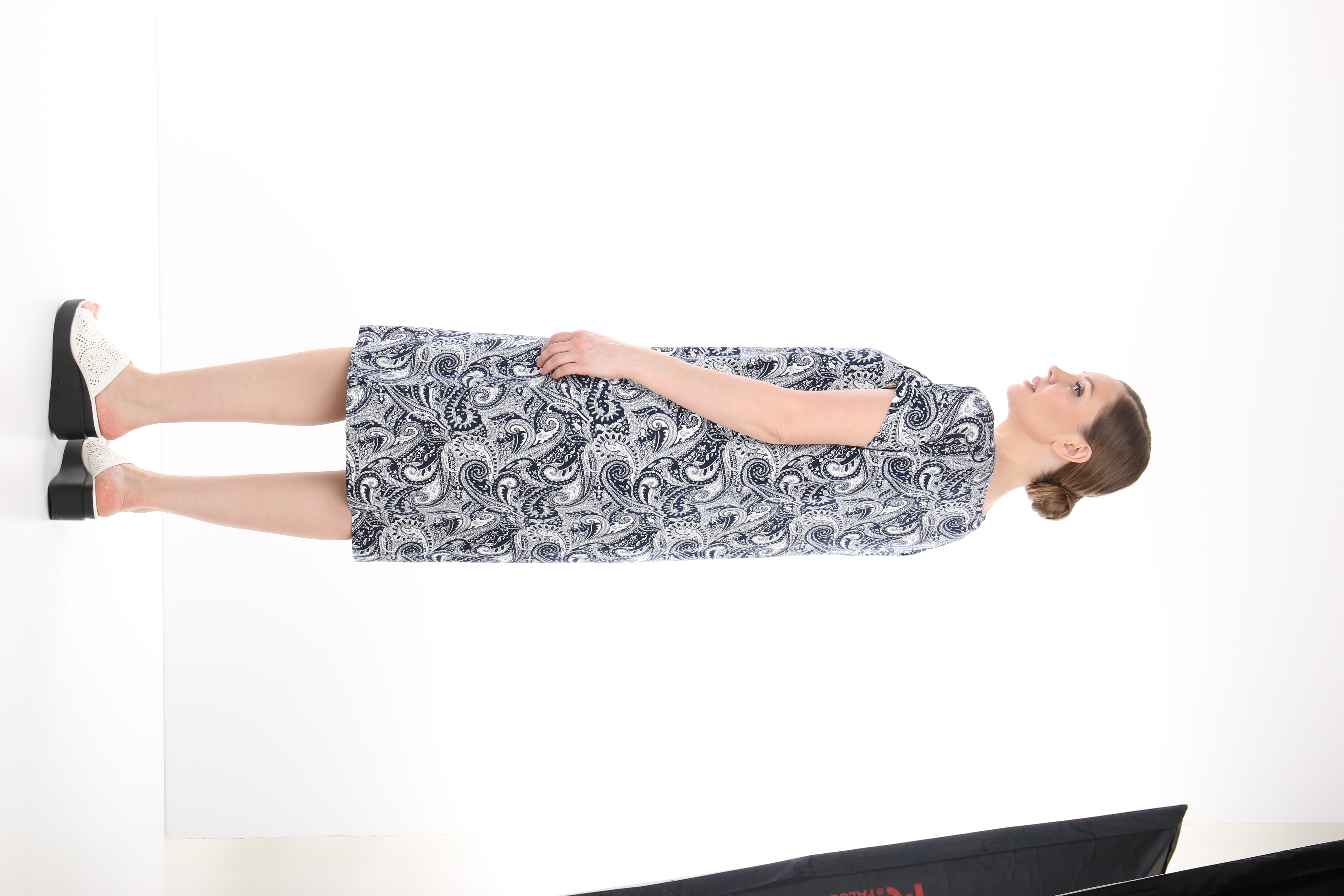 Reference image 1