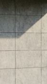 Reference image 1