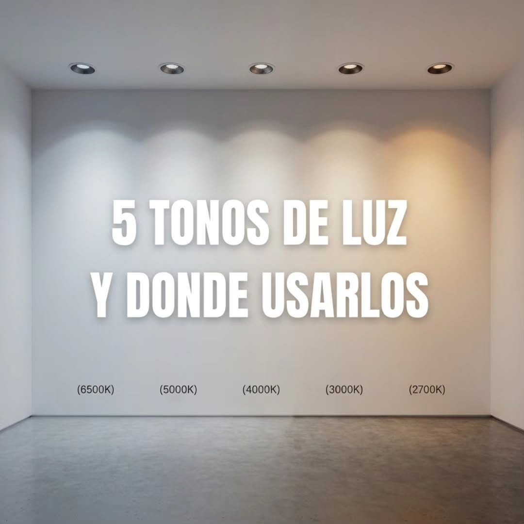5381868784290831572.jpg
