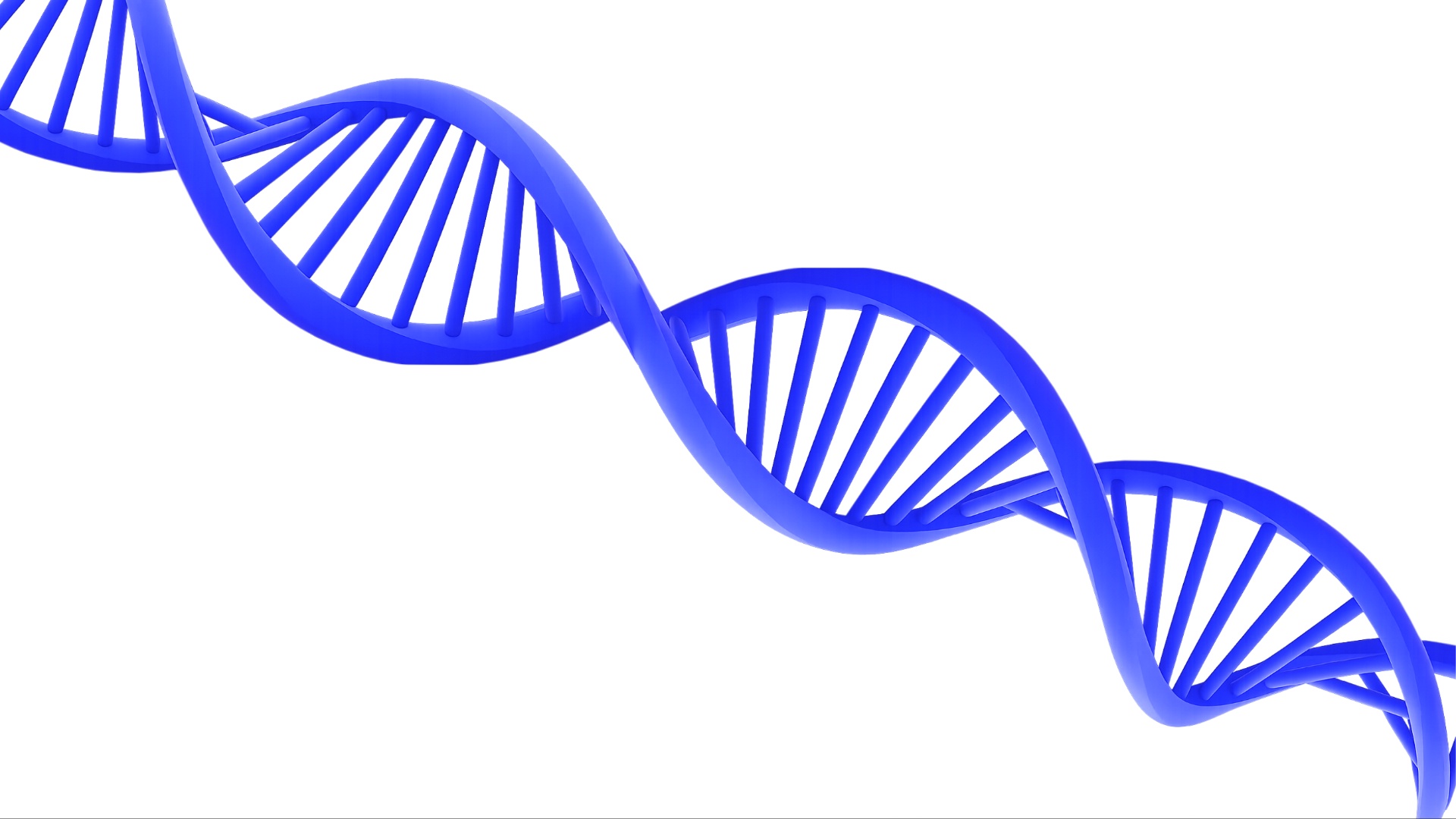 Static camera. A single blue DNA double helix suspended in clean white space. The DNA strand rota...