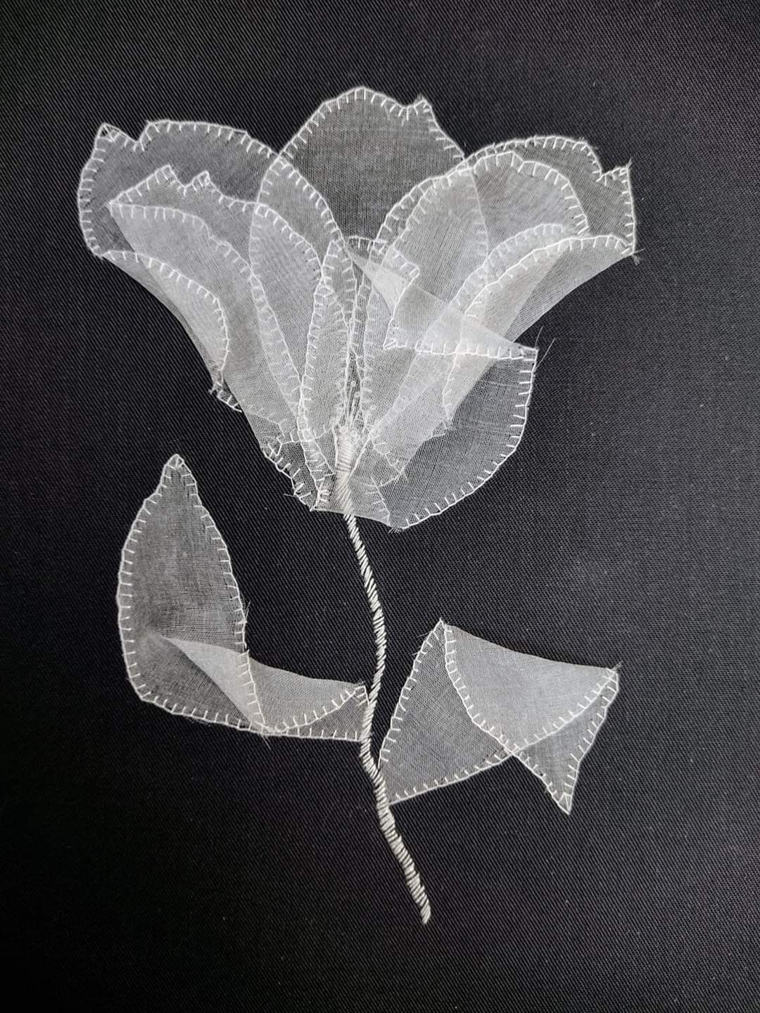 Reference image 1