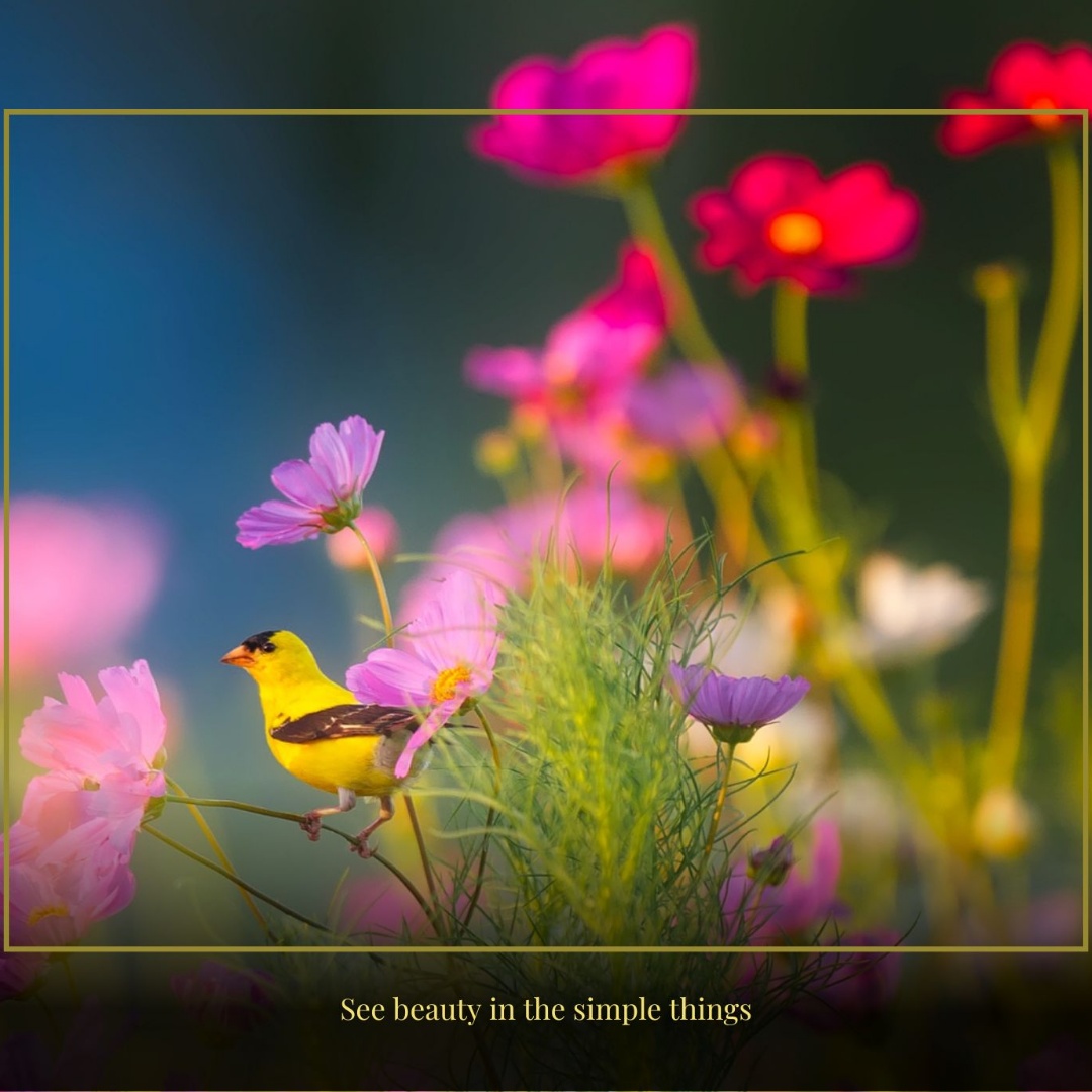 make into a vivid video with bird gently flying up