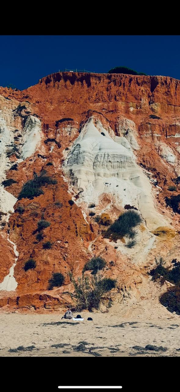 Reference image 1