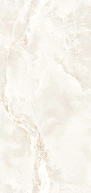 Reference image 1