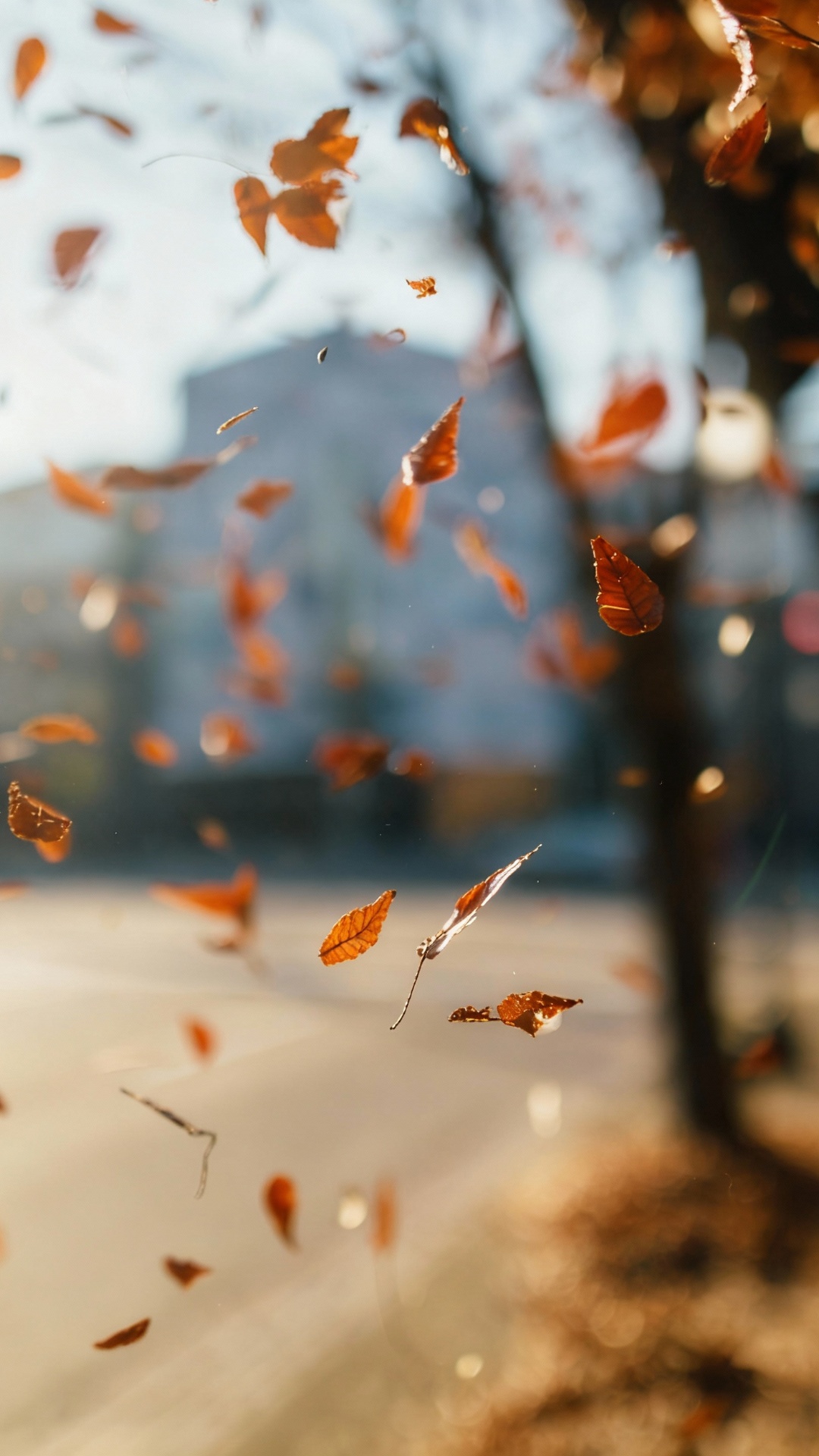 remove the writing. make the leaves continue to billow in the wind